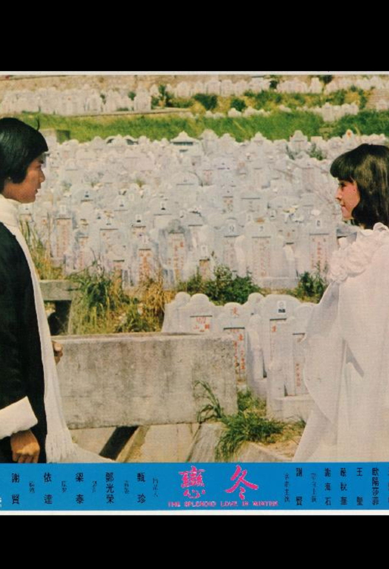 The Splendid Love in Winter Backdrop