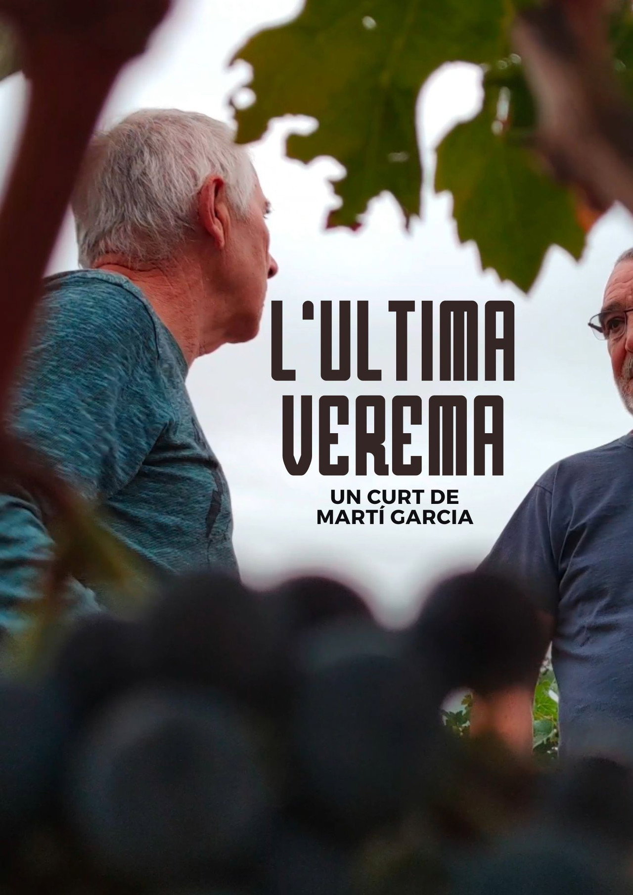 L'última verema filmaffisch