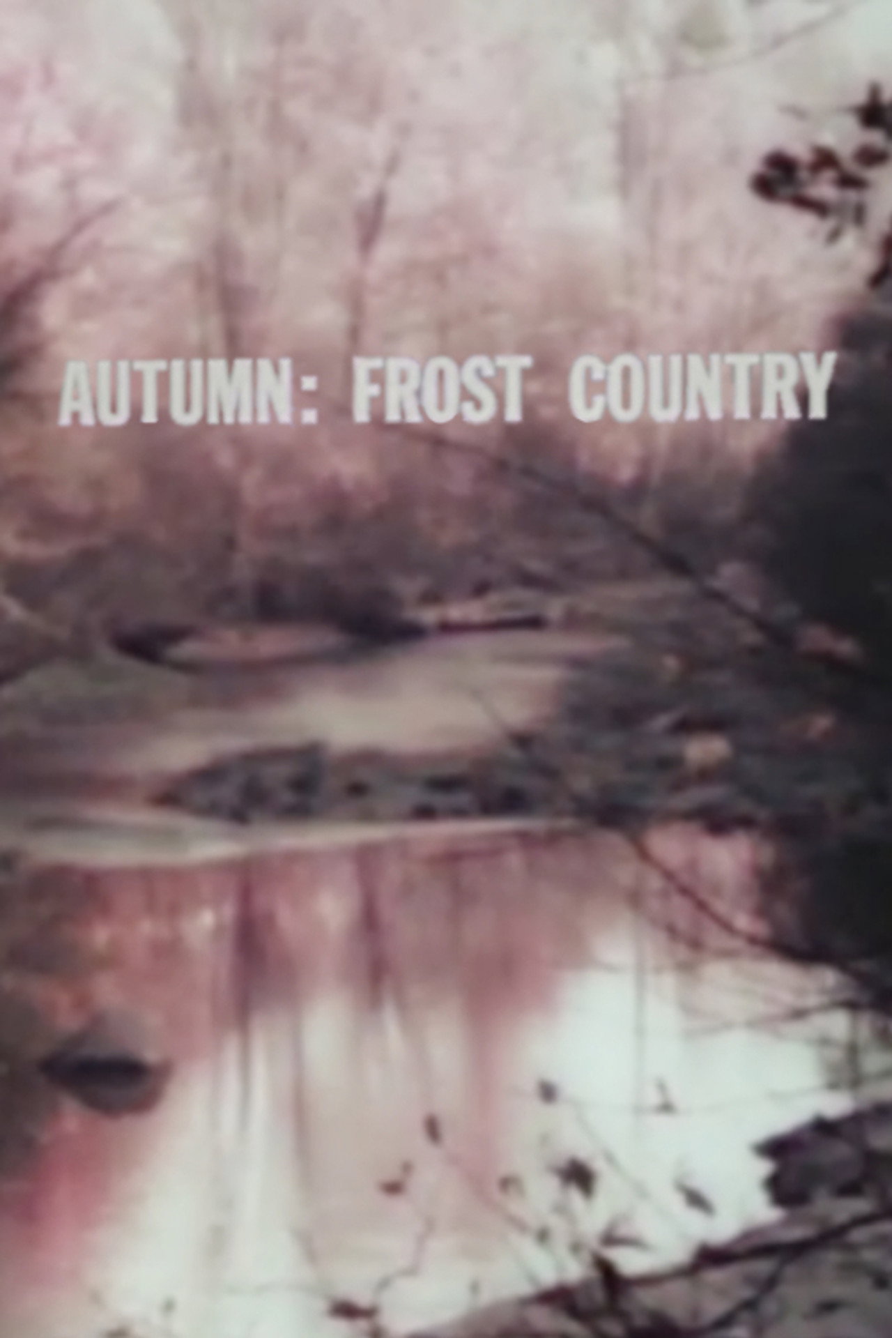 Autumn: Frost Country Backdrop