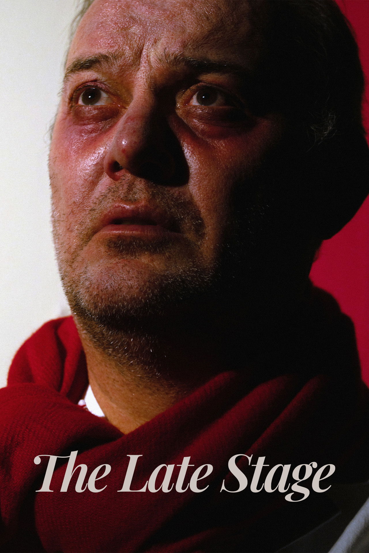 The Late Stage Backdrop