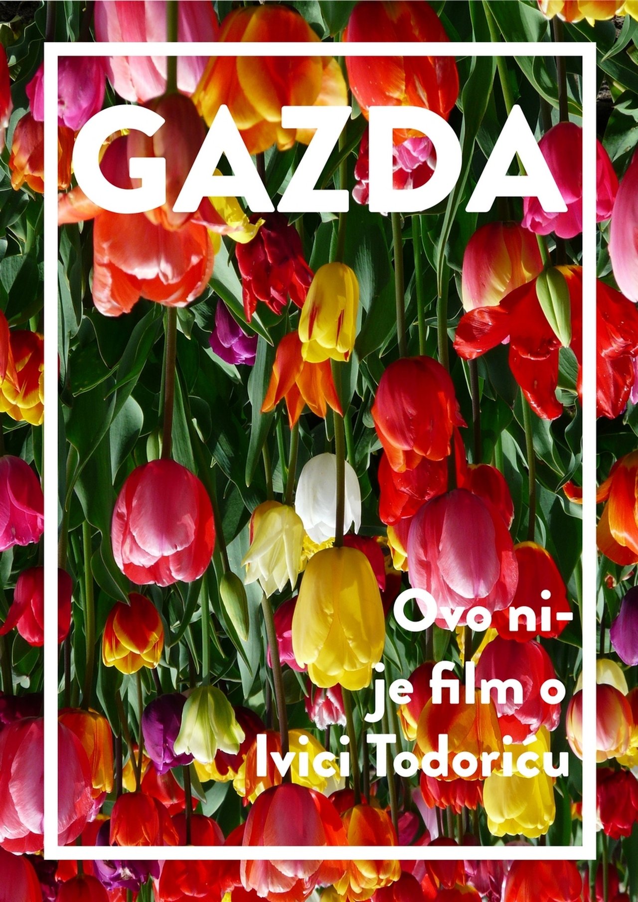 Gazda