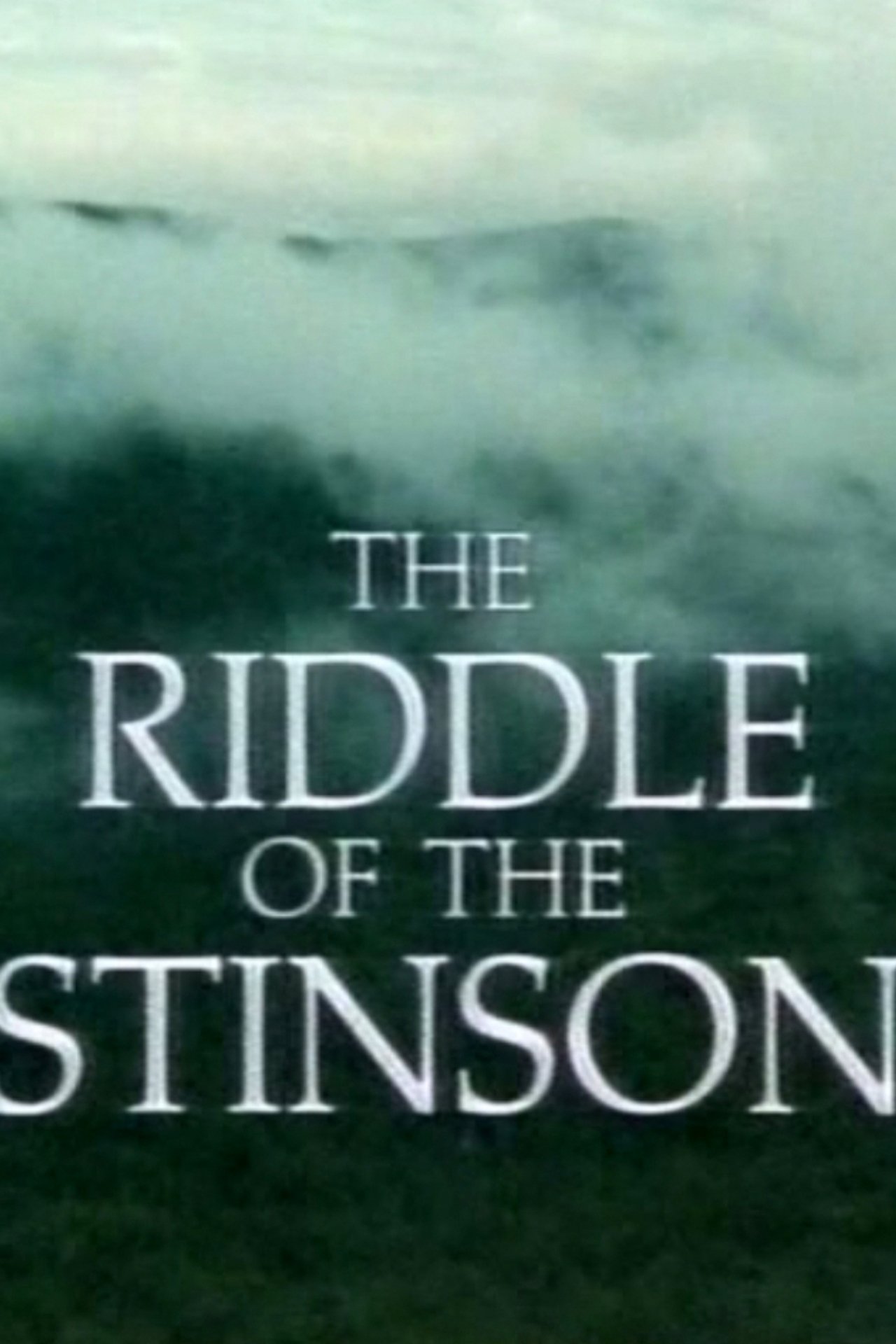 The Riddle of the Stinson The Riddle of the Stinson