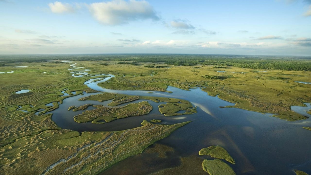 National Parks Exploration Series: The Everglades (2011)