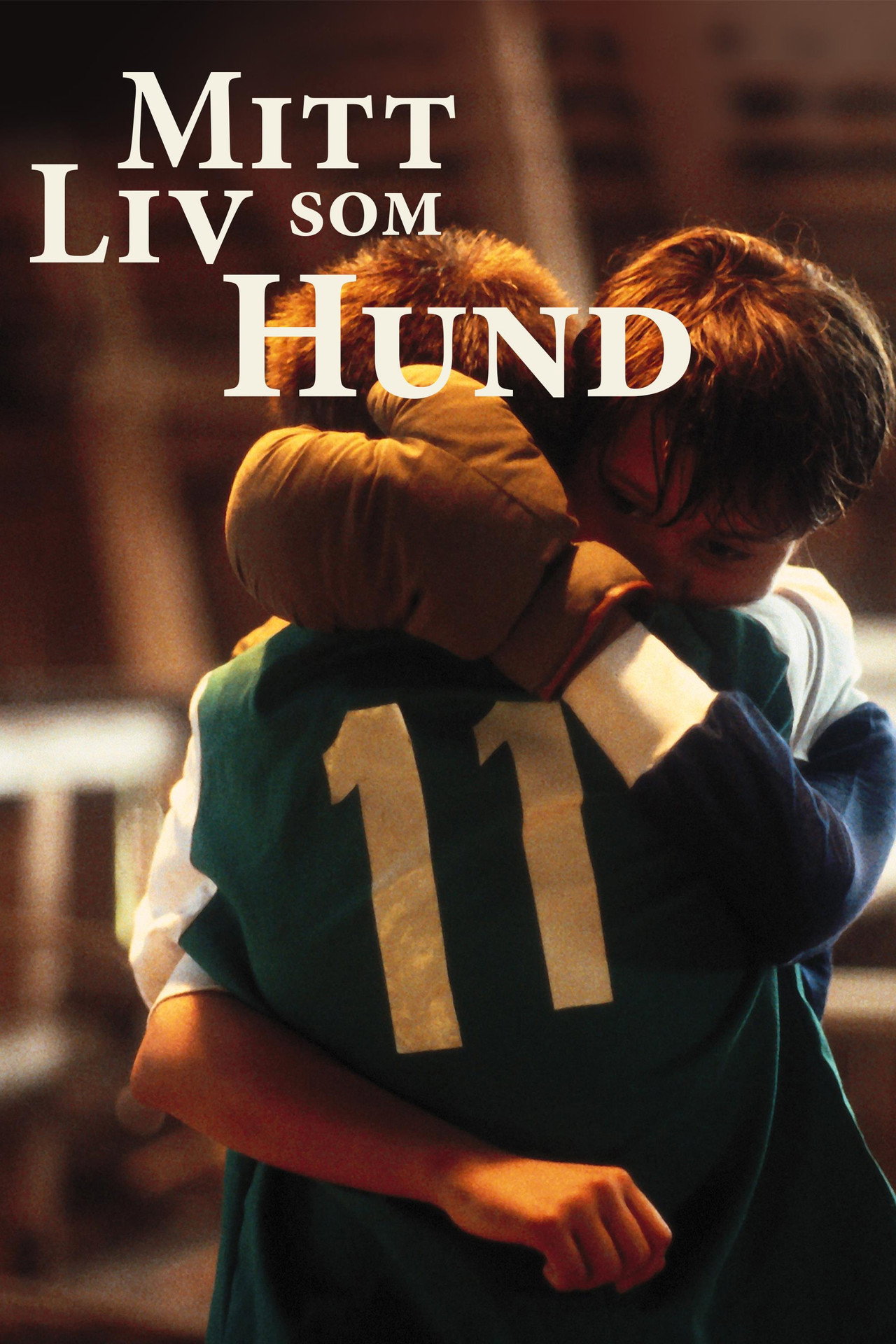 Mitt liv som hund filmaffisch
