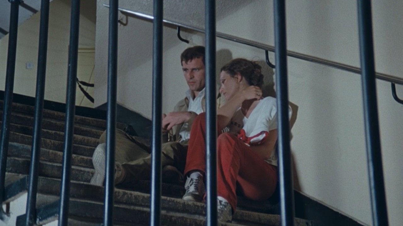 Filmgalerie — 13