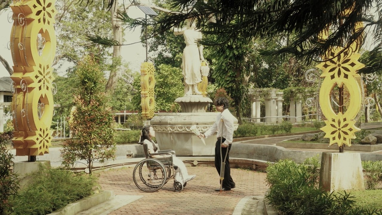 Can A Flower Forgive?