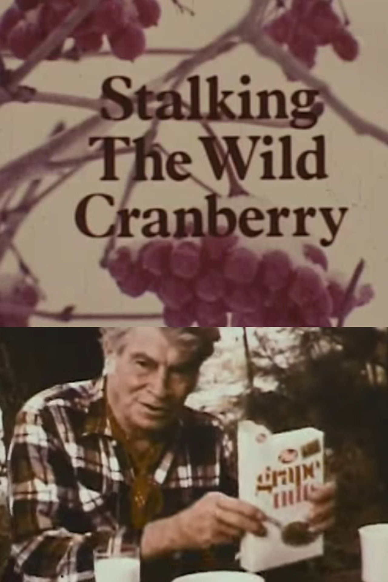 Stalking the Wild Cranberry Backdrop