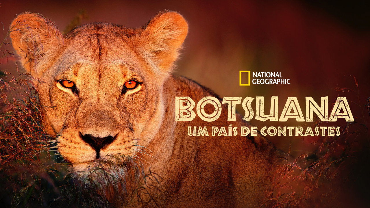 Wild Botswana backdrop