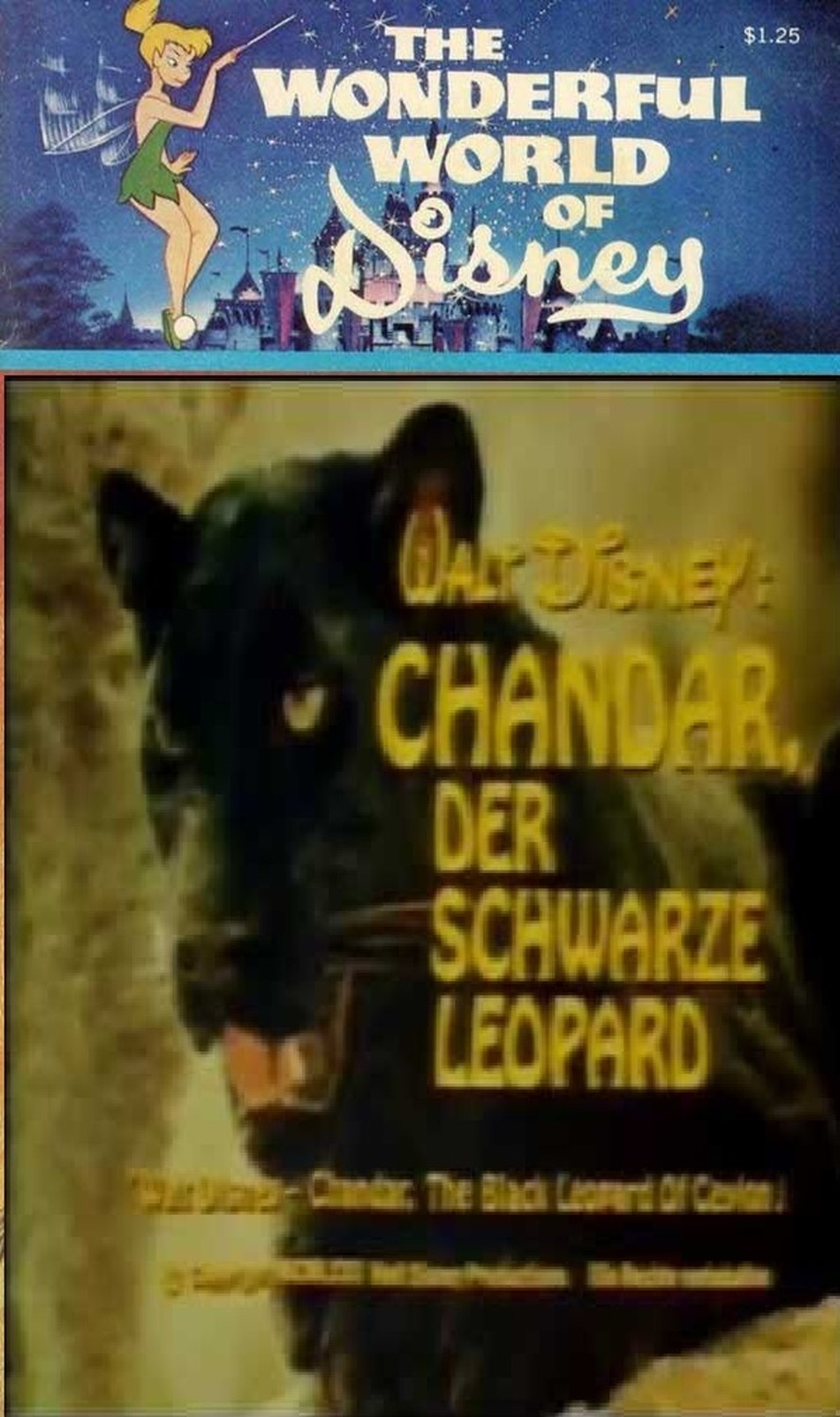 Chandar, the Black Leopard of Ceylon Chandar, the Black Leopard of Ceylon
