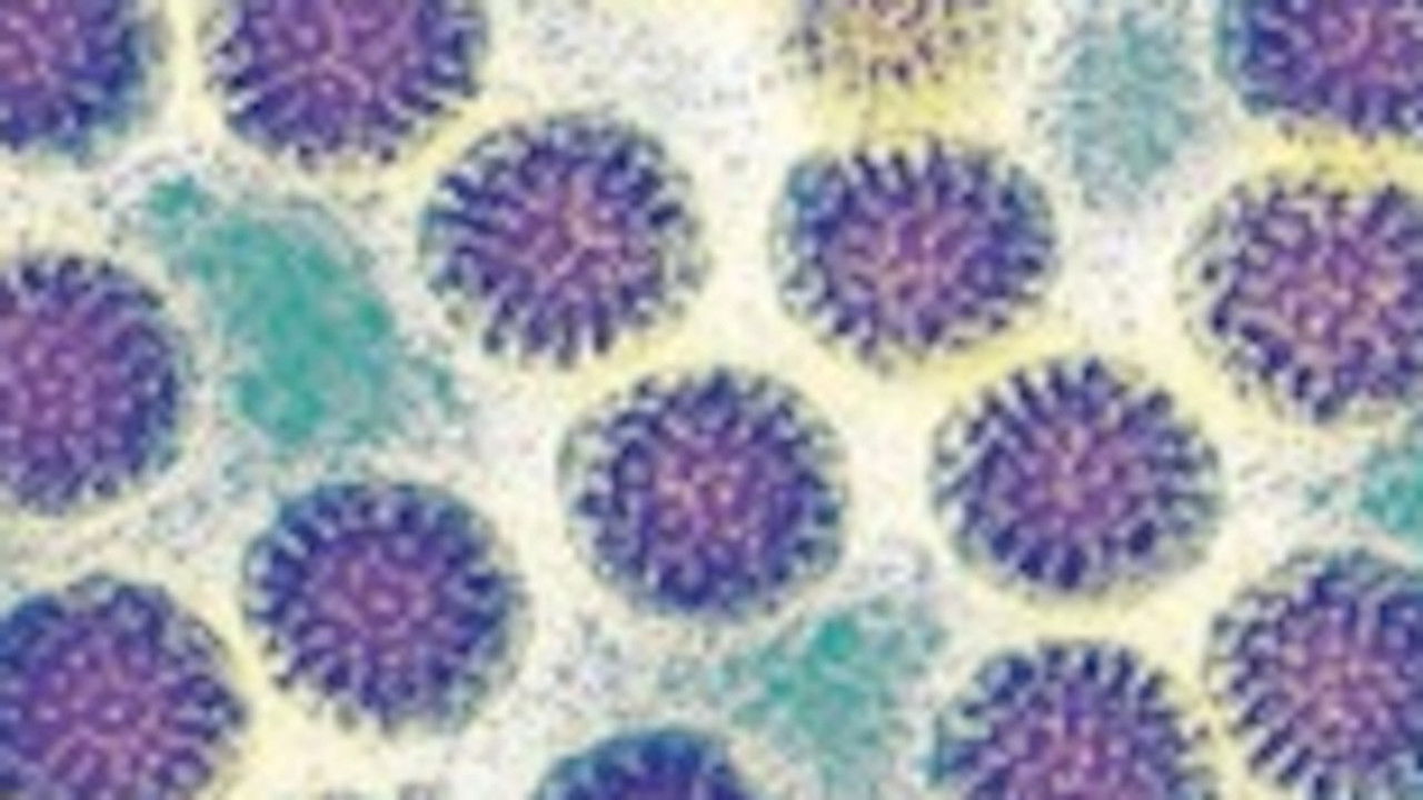 Viaggio nella scienza — Épisode 7