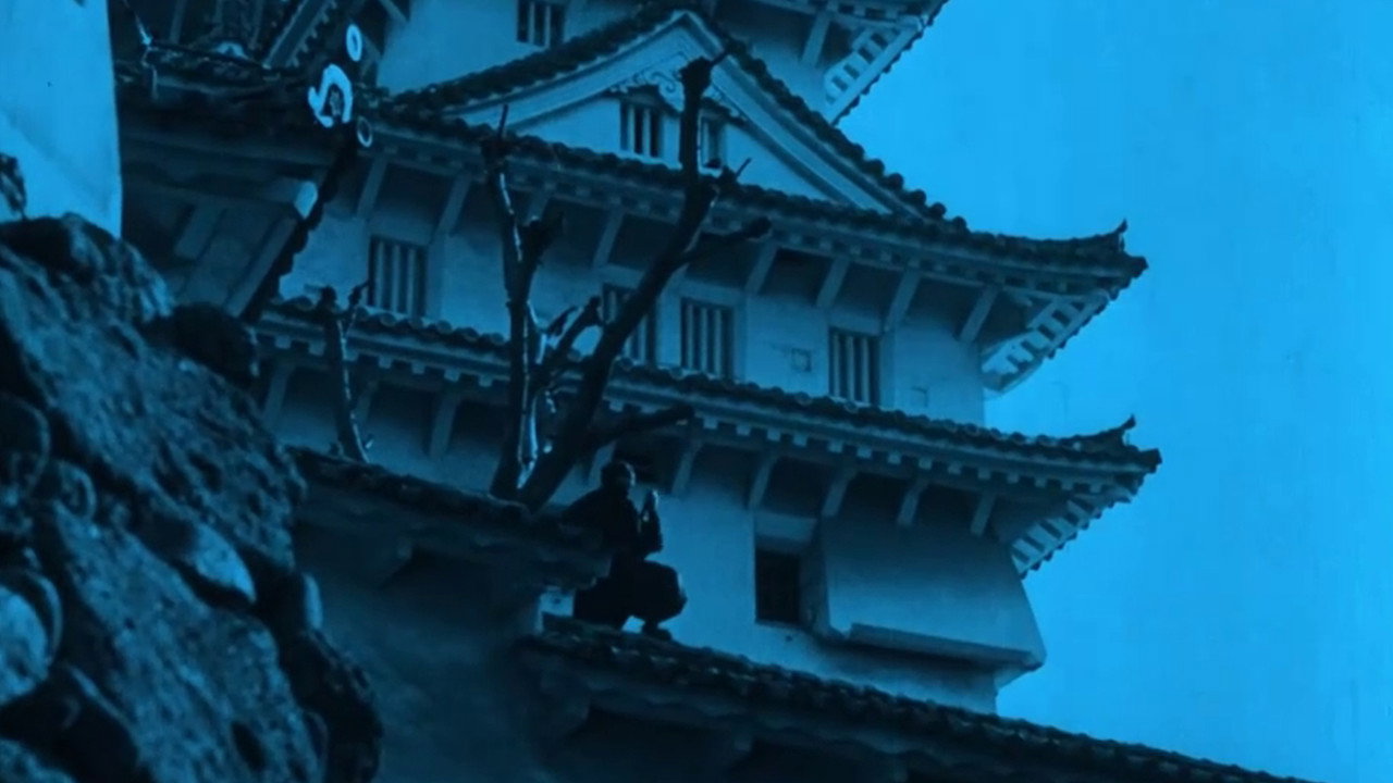 scenes 11