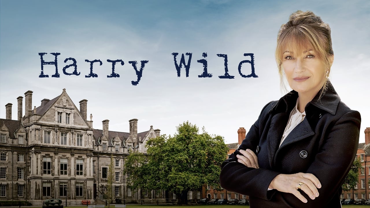 Harry Wild - Mörderjagd in Dublin background