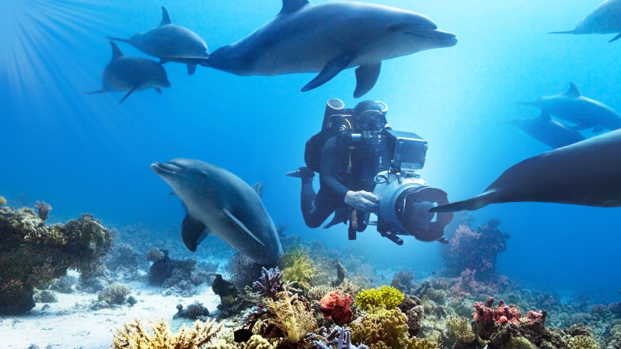 Scen från Diving with Dolphins