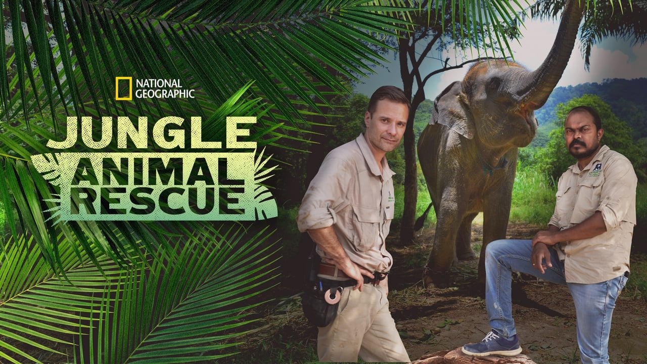 Jungle Animal Rescue background