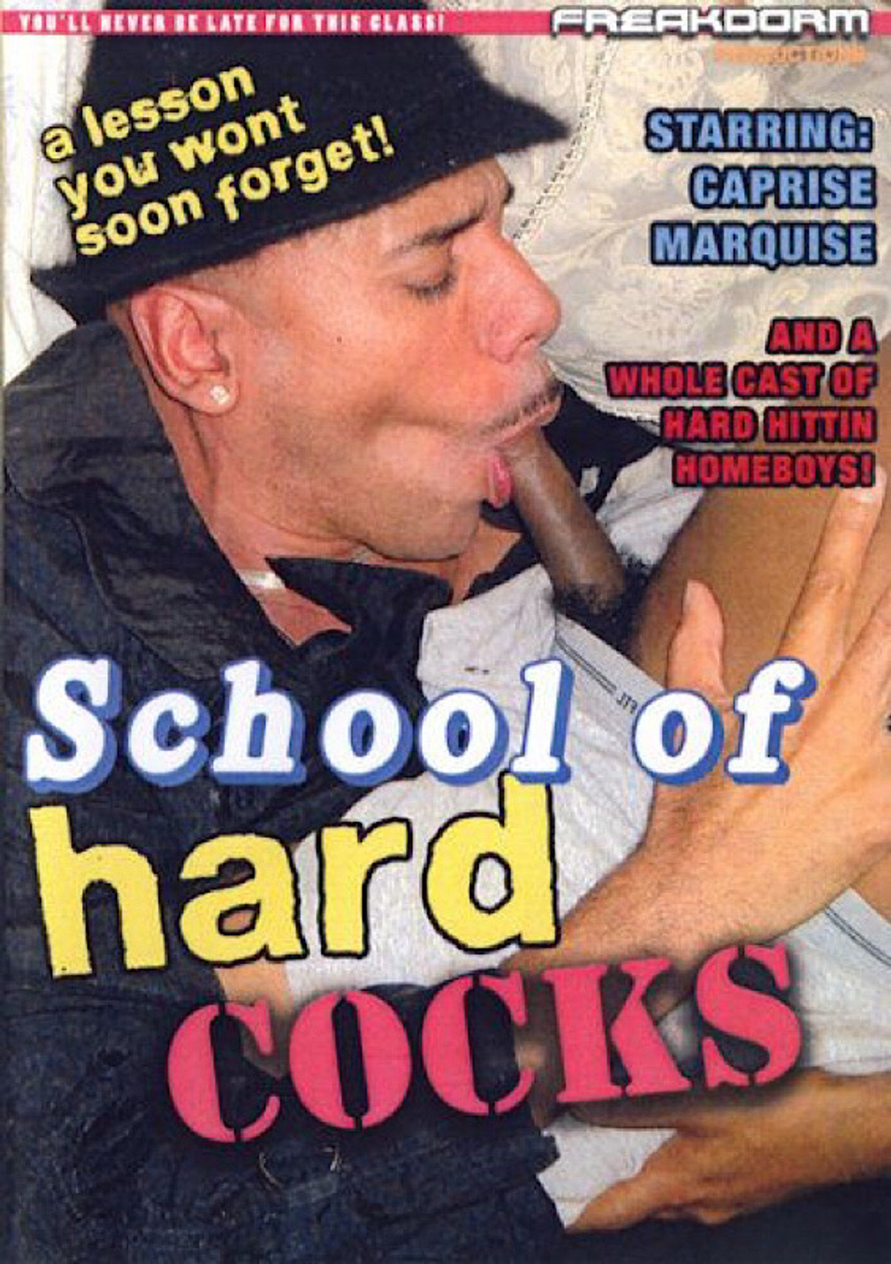 School of Hard Cocks filmaffisch