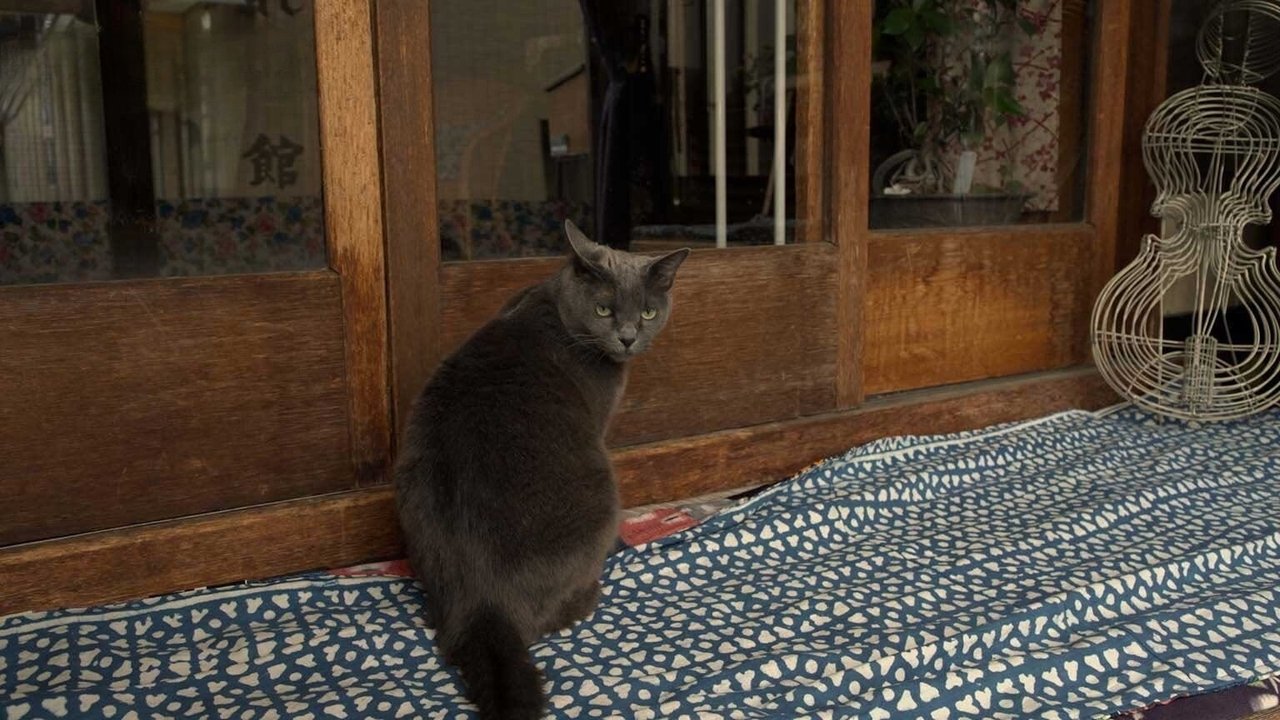 A Cat's-Eye View of Japan - Season 4 Episode 3 : Hokkaido: Furano's Play Areas