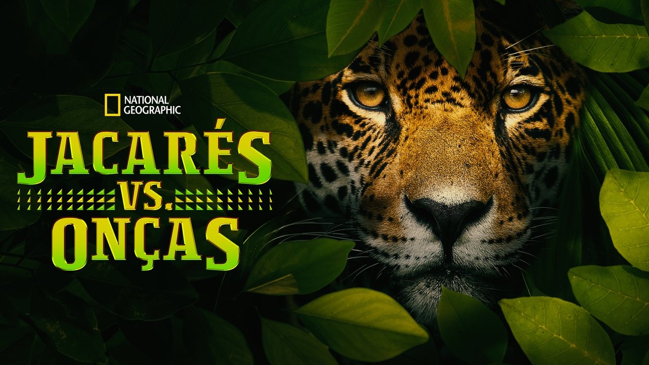 title image