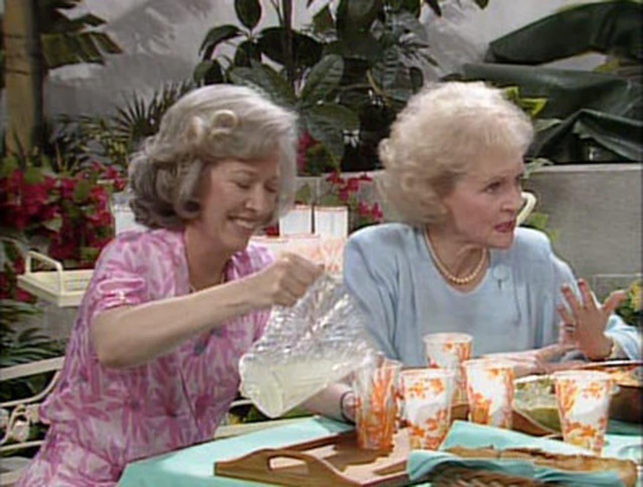 The Golden Girls - Season 1 Episode 23 : Blind Ambitions