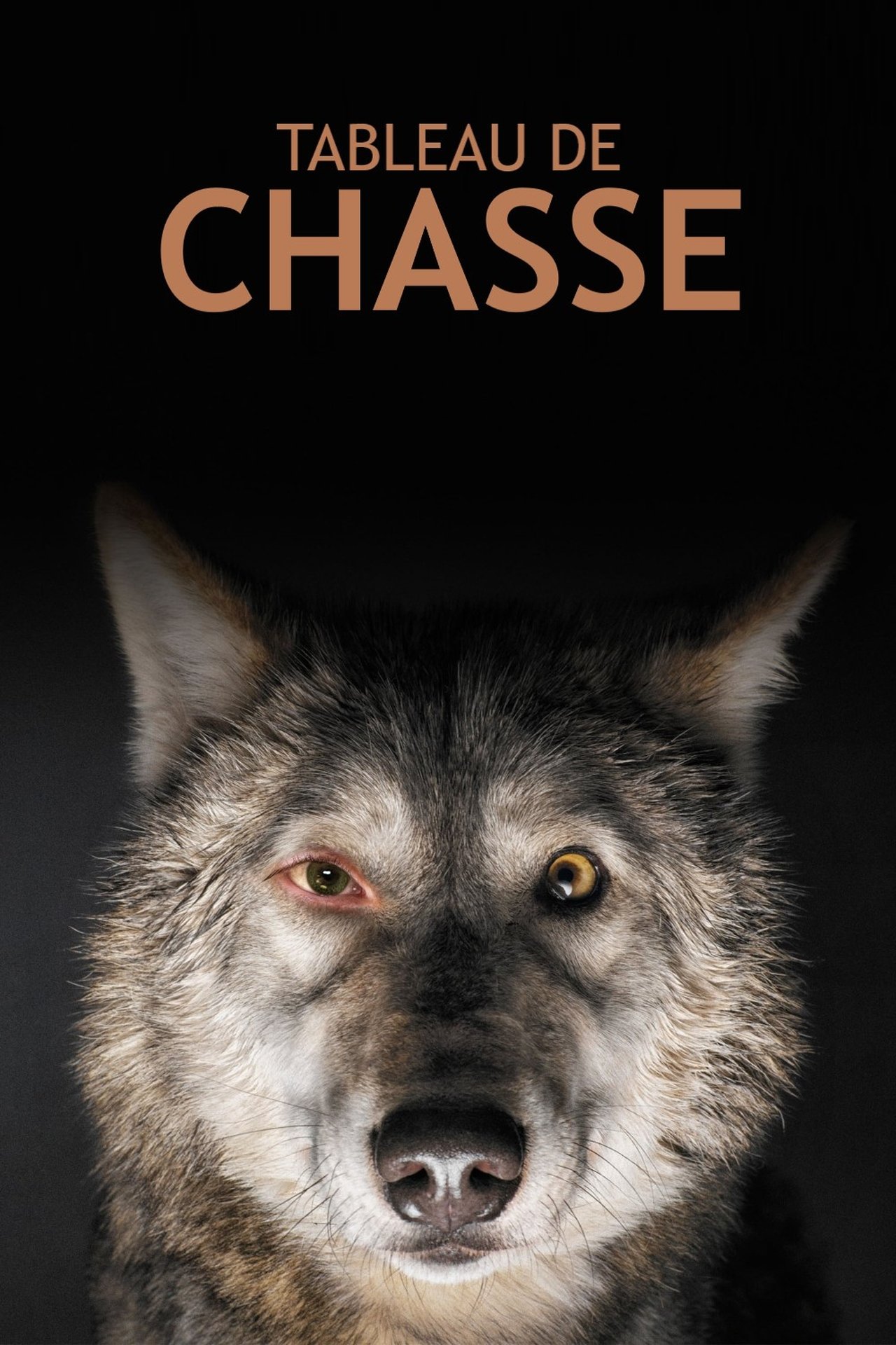 Tableau de chasse poster