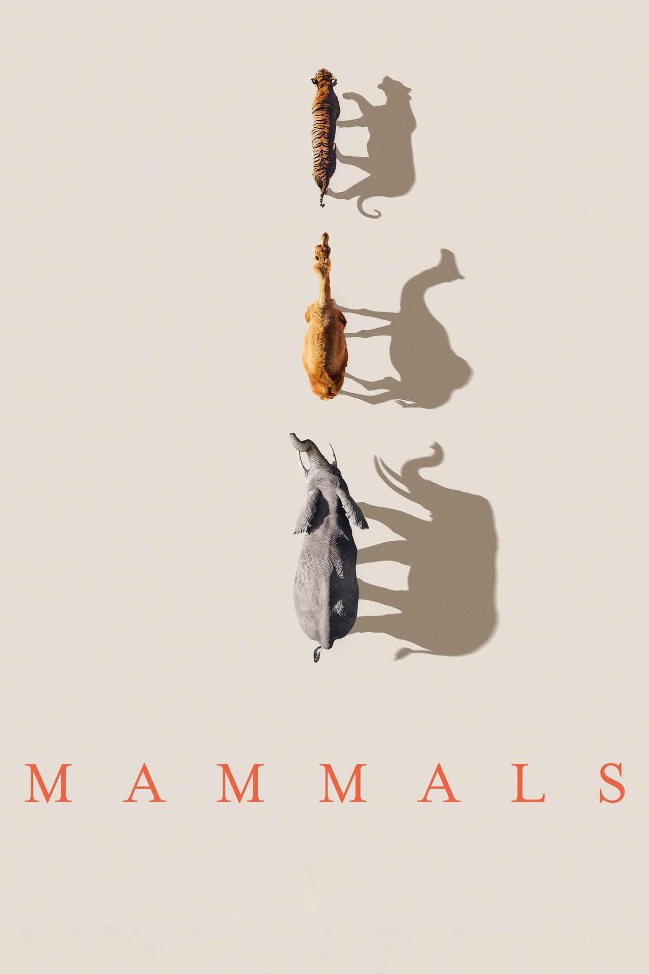 Mammals (2022) Hindi Season 1 Complete backdrop