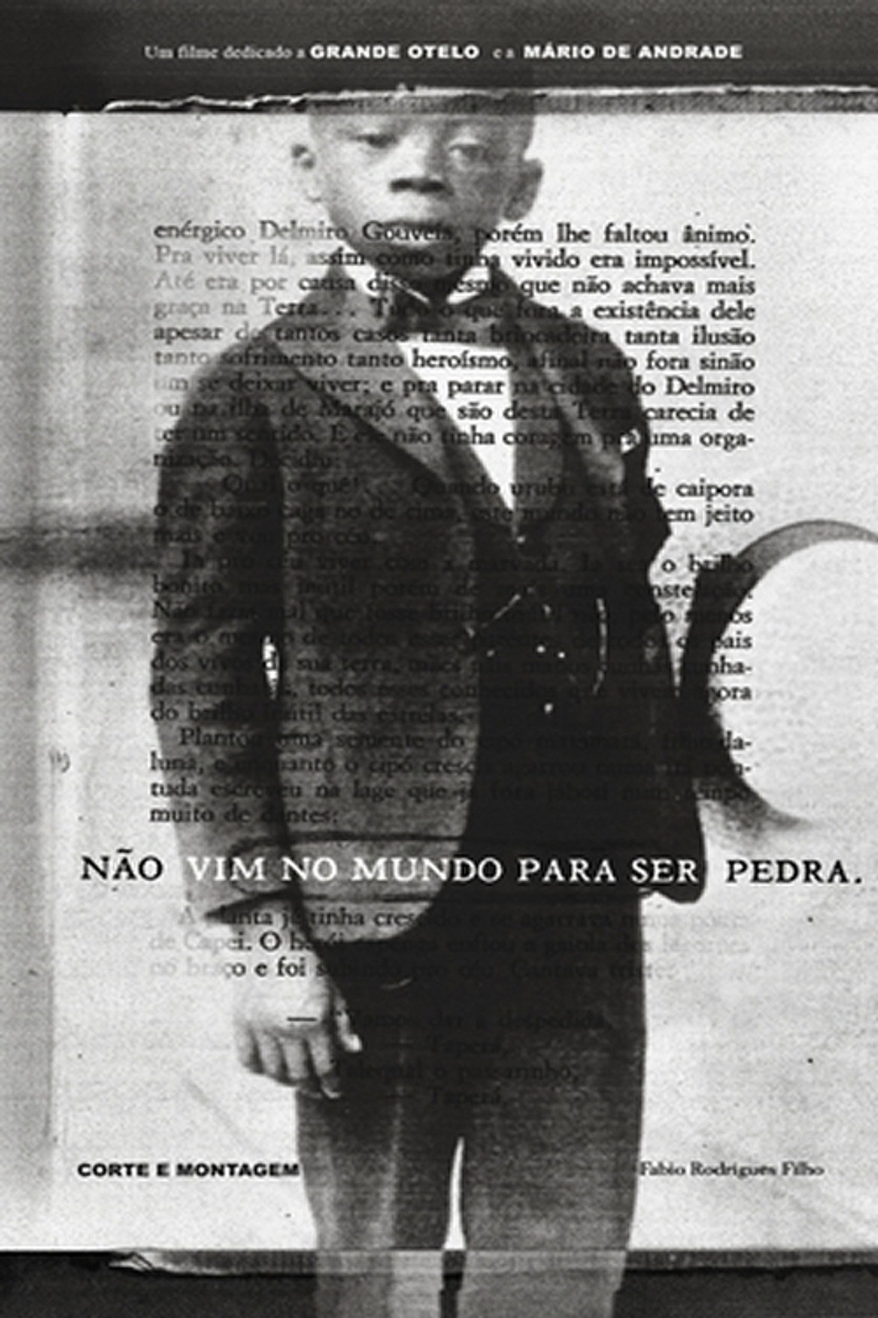 Não Vim no Mundo para Ser Pedra