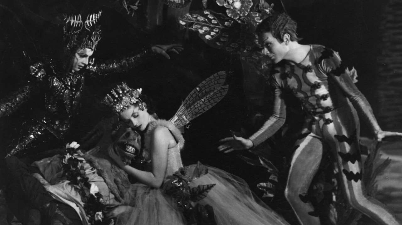 Before She Was Scarlet O'Hara: An Interview with Anne Edwards still 4