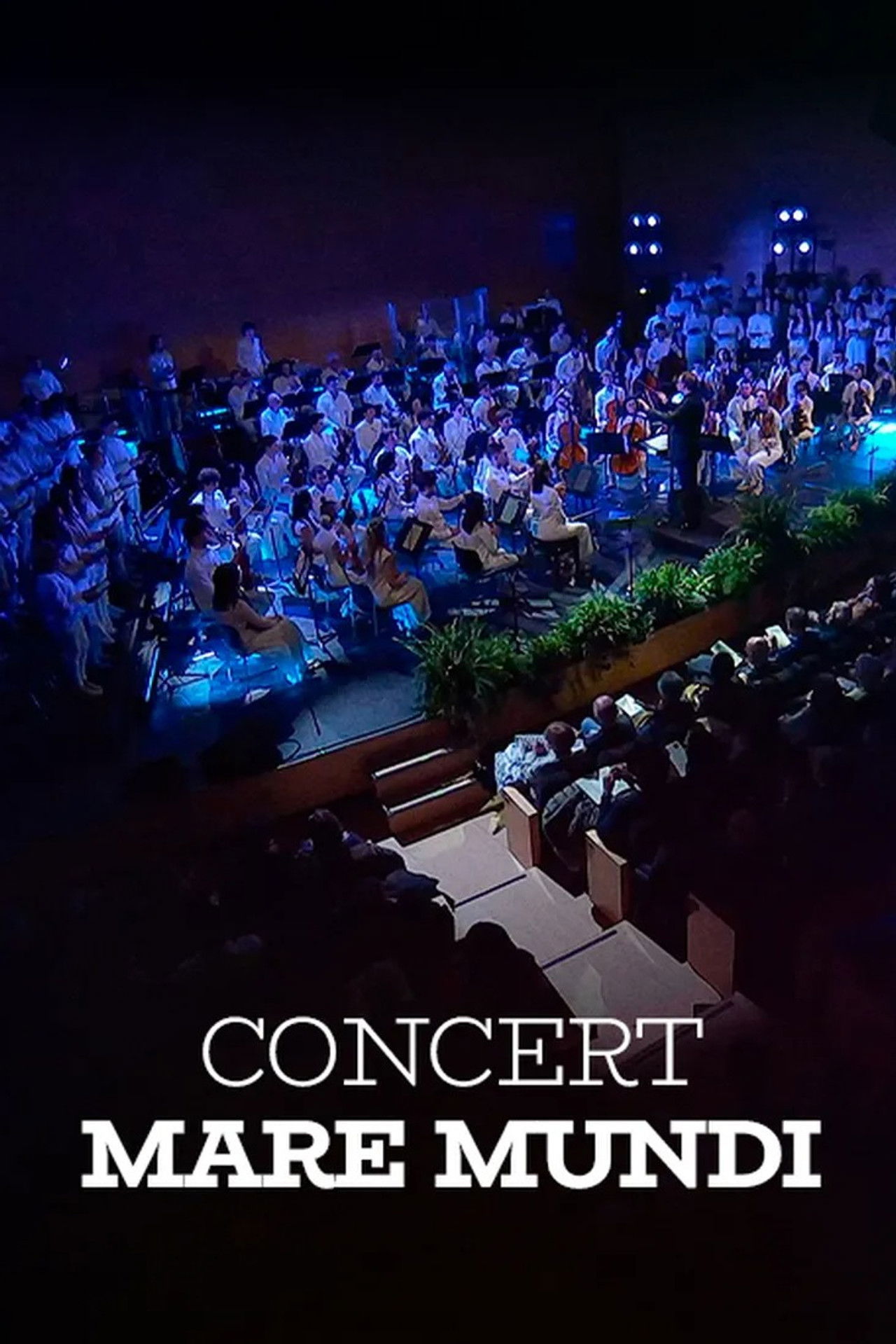 Mare Mundi. Tribut al mar Backdrop