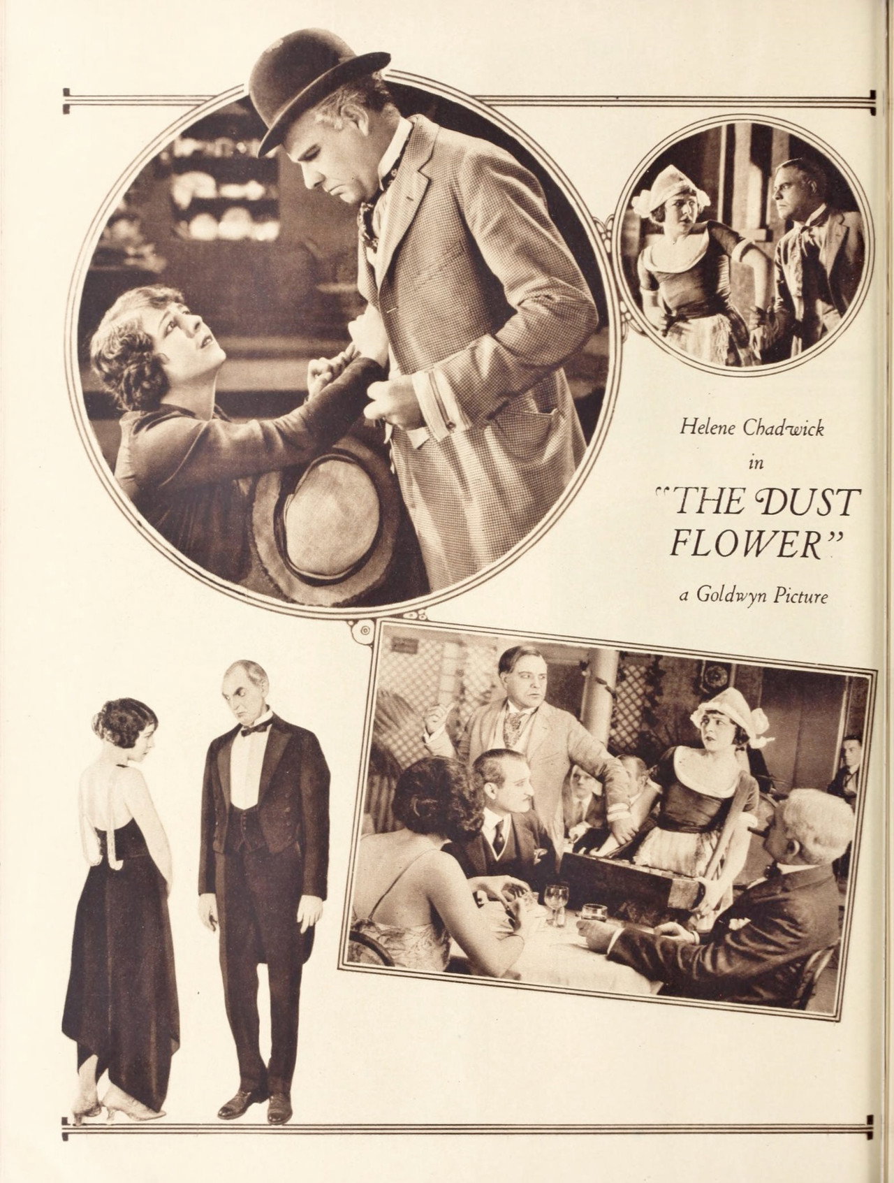 The Dust Flower