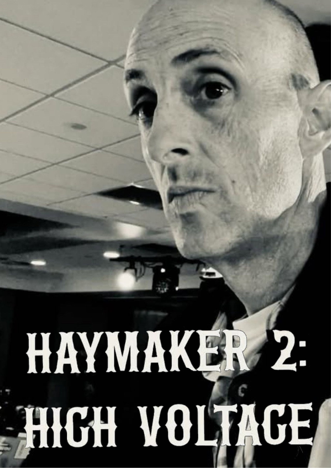 Haymaker 2: High Voltage Backdrop