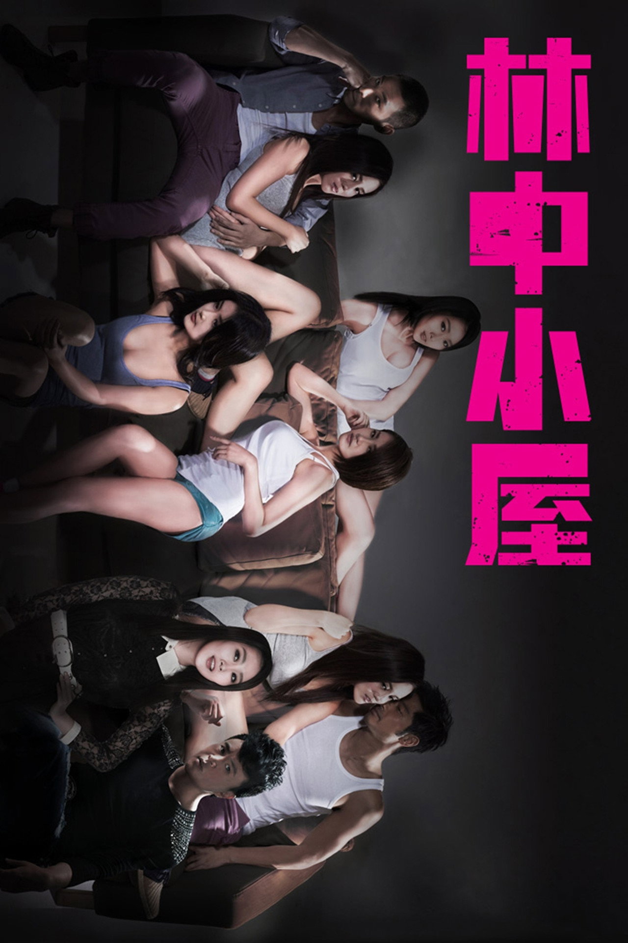 林中小屋 filmaffisch