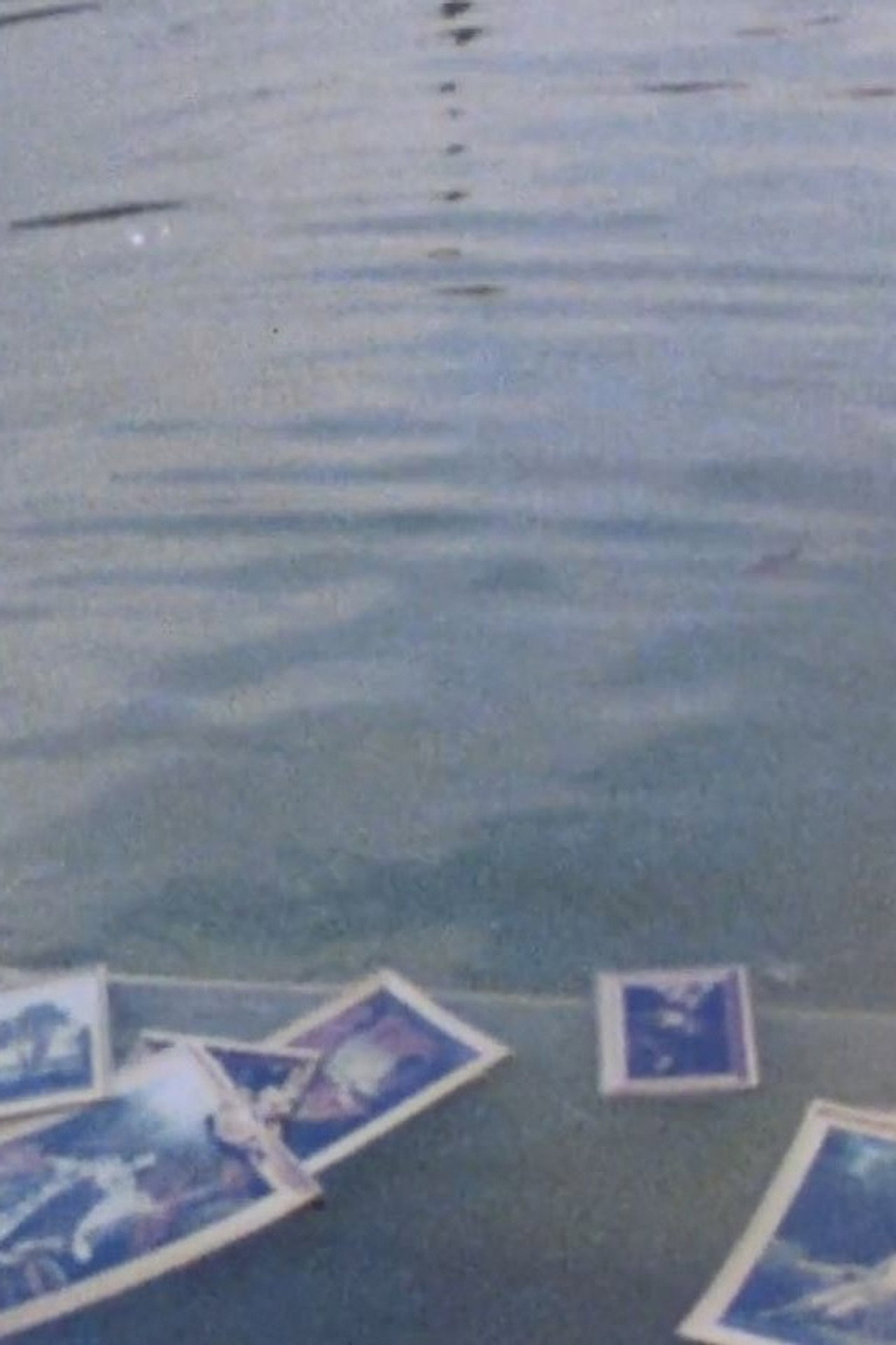 L'Art d'exposer filmaffisch