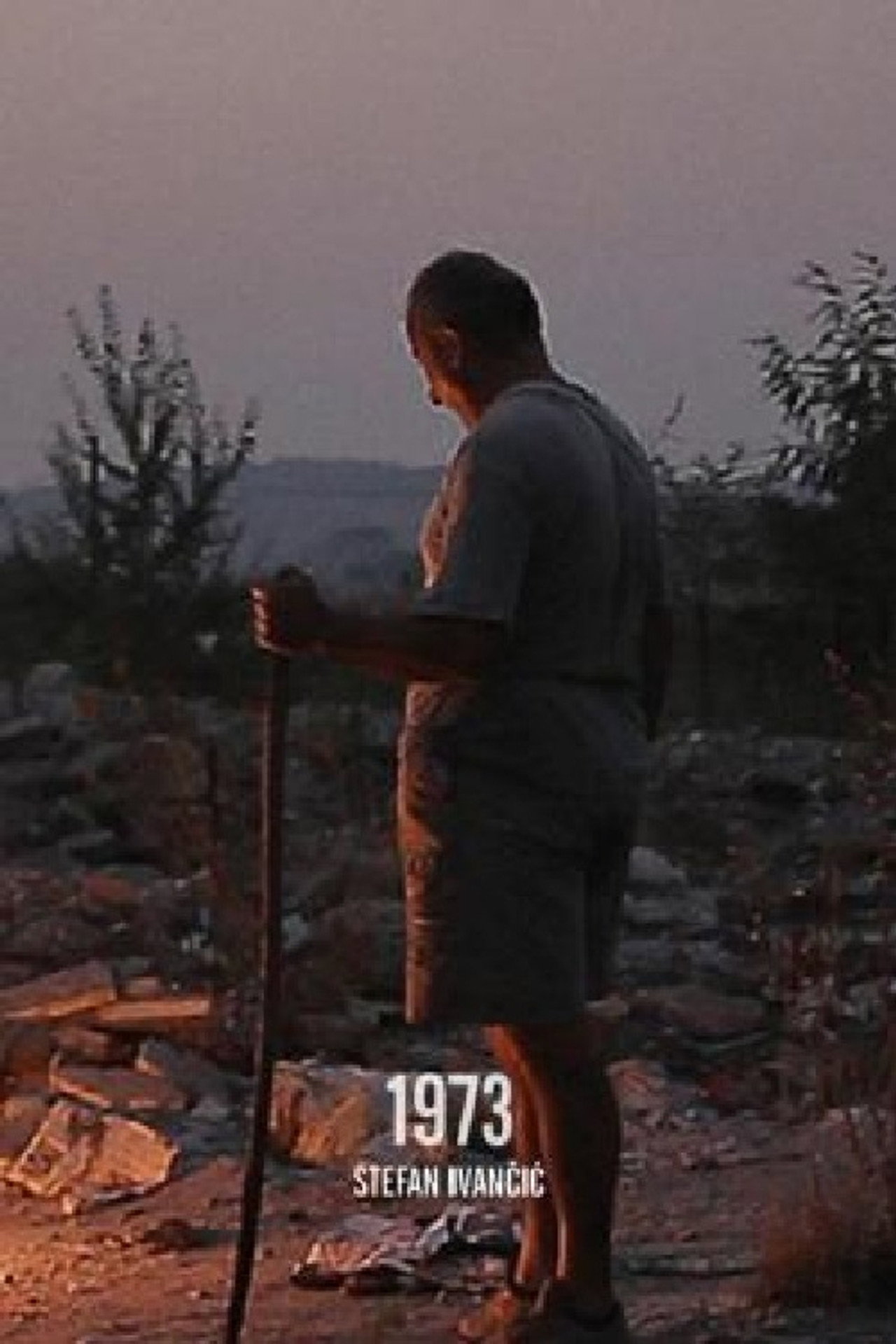 1973 filmaffisch