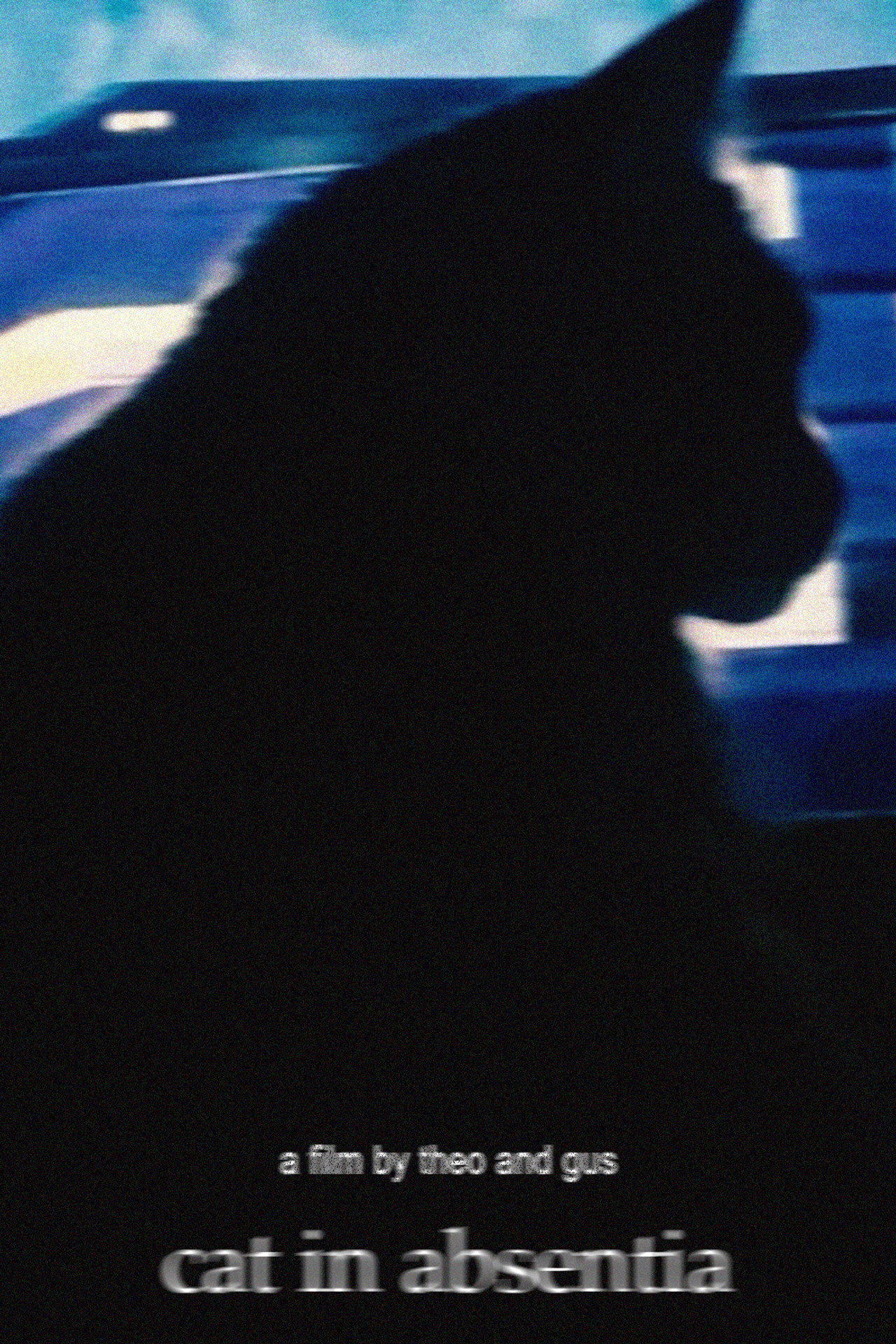 Cat in Absentia