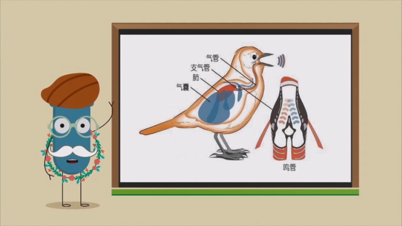 STEM奇妙科学课 — Épisode 11