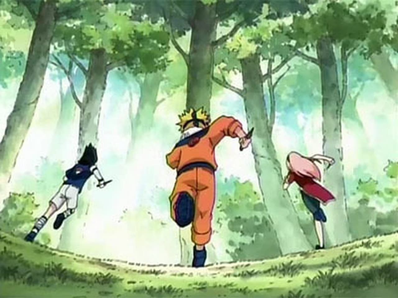 Naruto - Season 1 Episode 10 : The Forest of Chakra