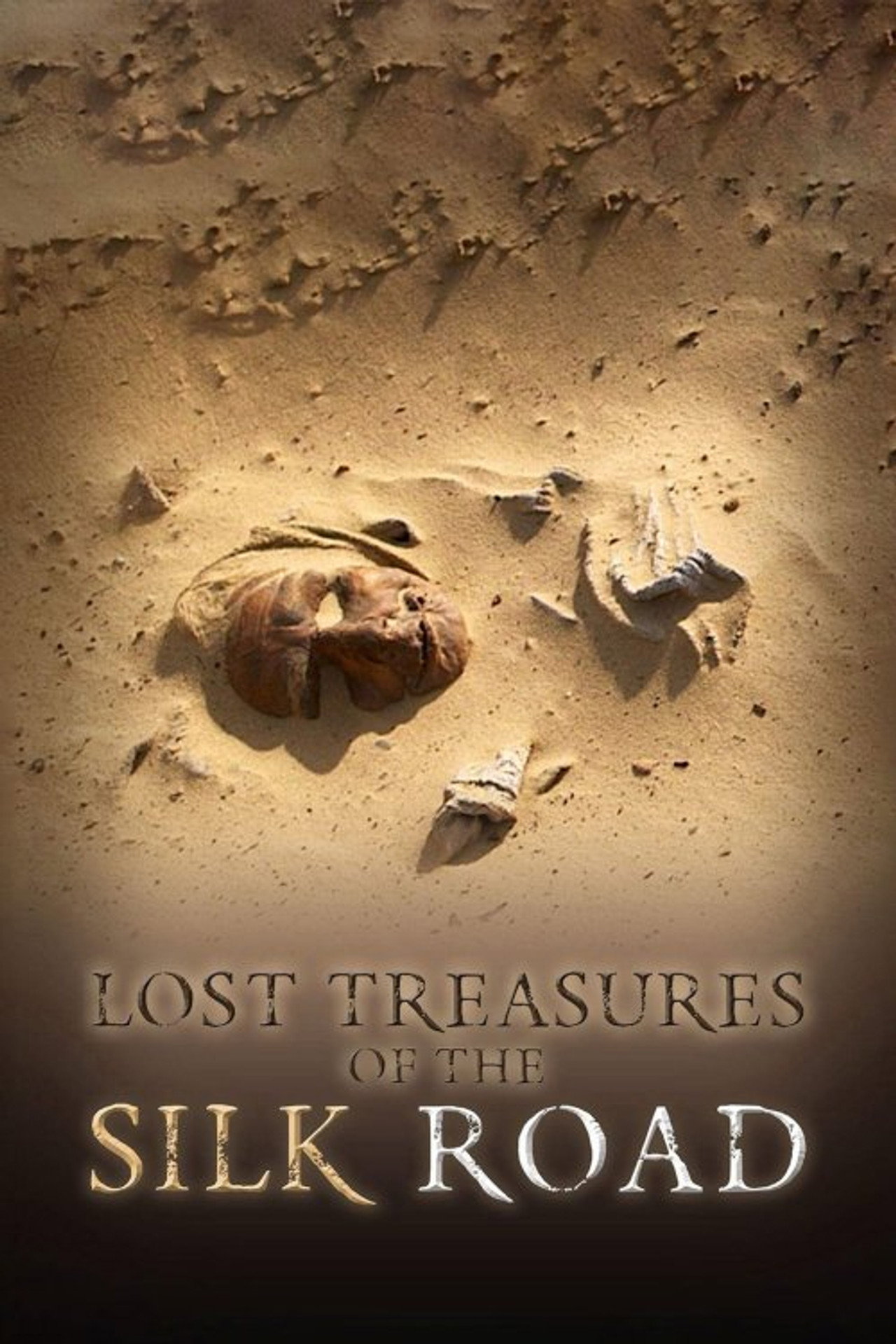 Lost Treasures of the Silk Road Backdrop