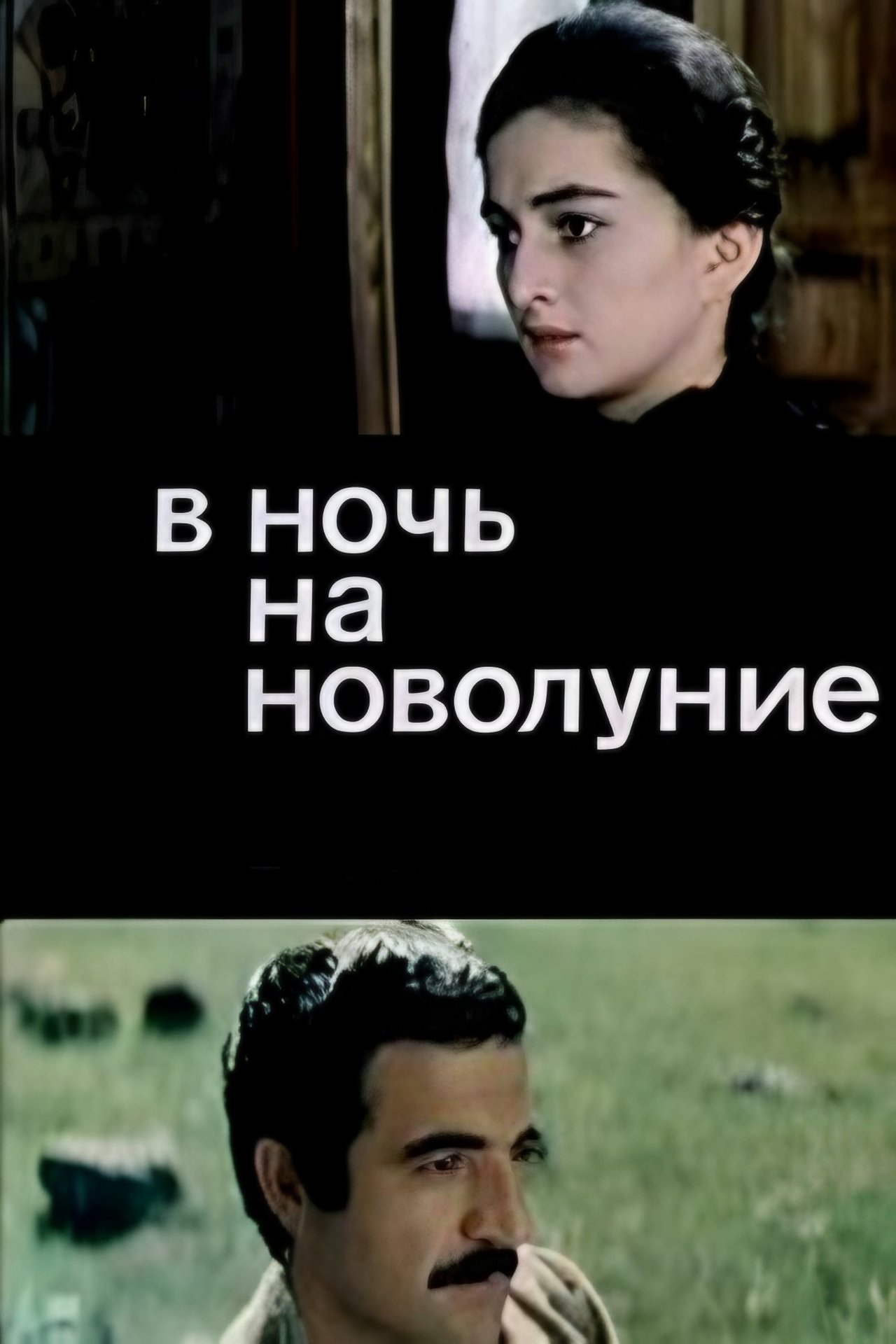 В ночь на новолуние В ночь на новолуние