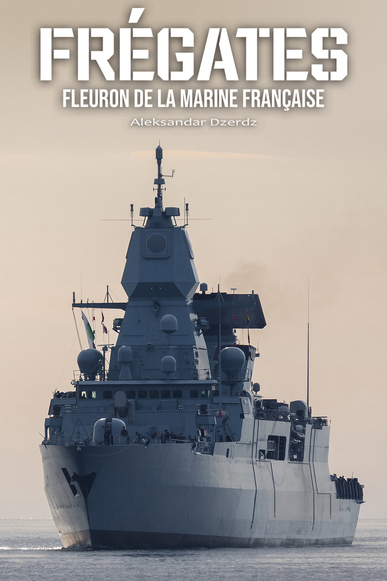 Frigates - The Pride of the French Navy