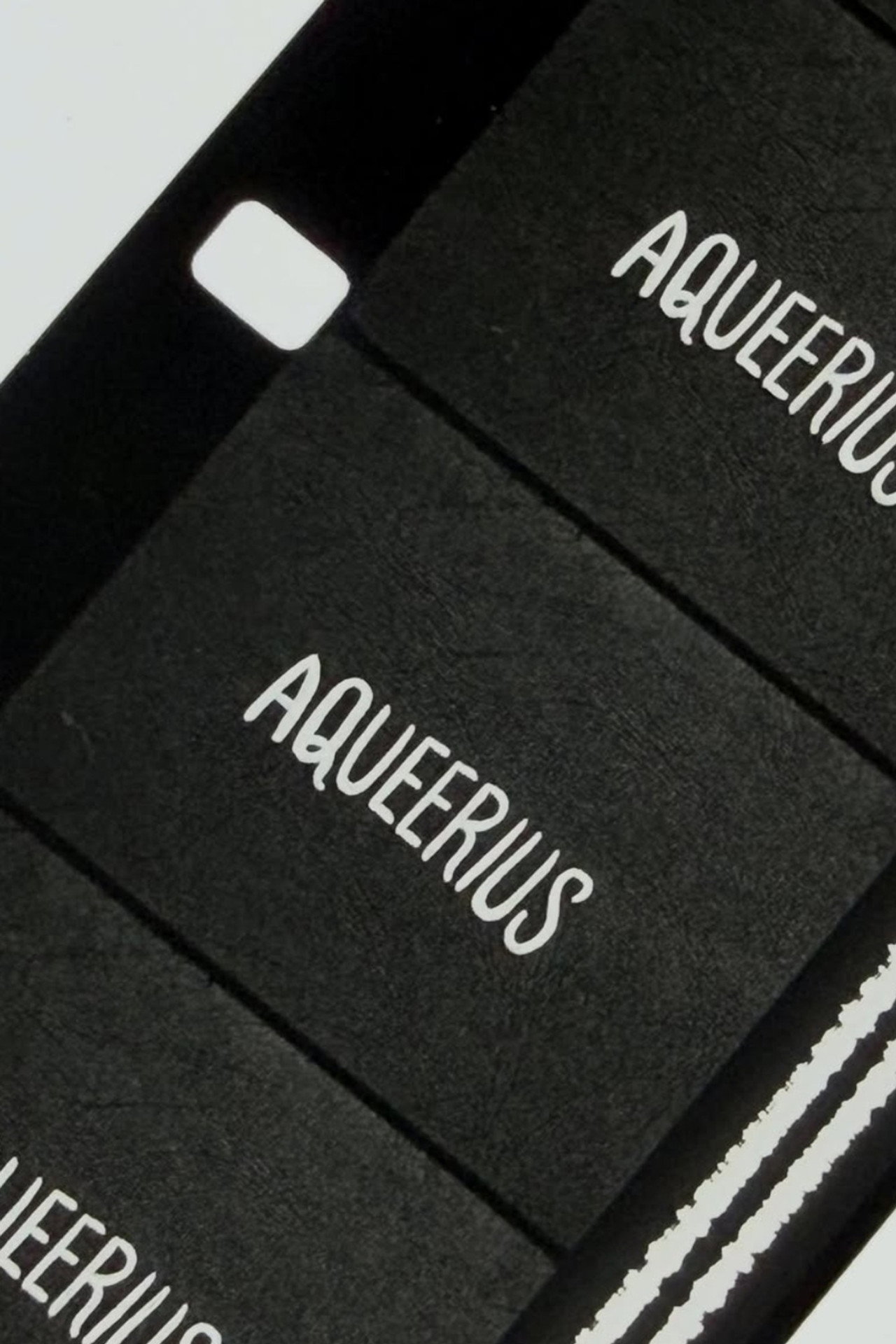 Aqueerius