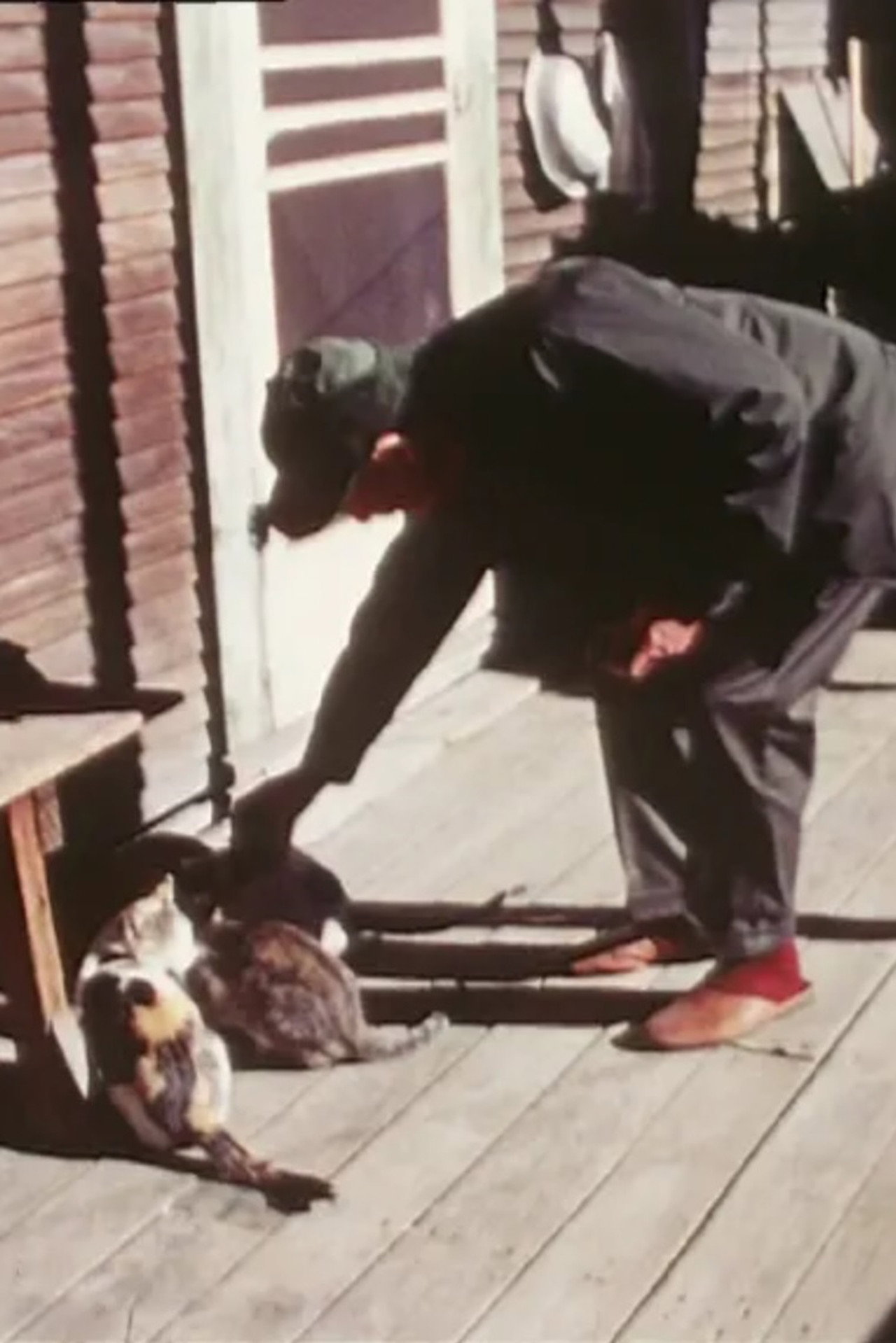 洛城的一天 filmaffisch