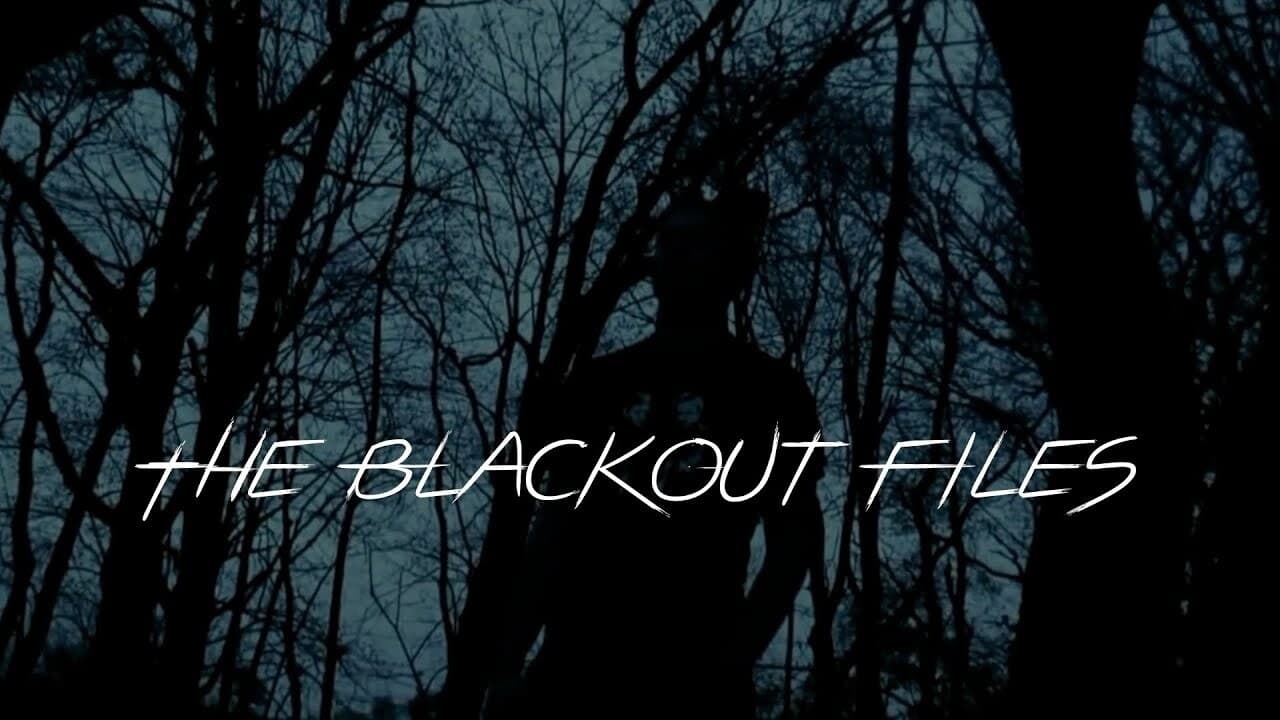 The Blackout Files background