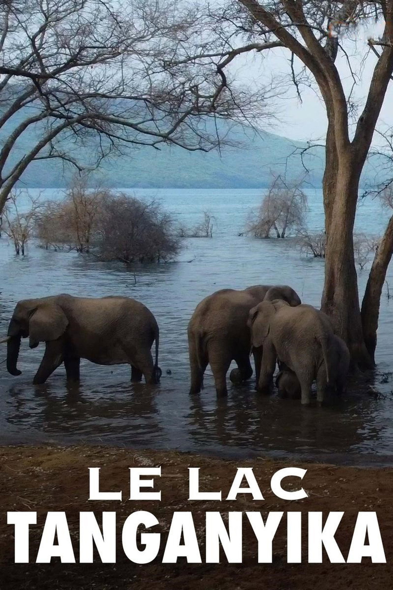 Le lac Tanganyika, la source de vie de l'Afrique filmaffisch