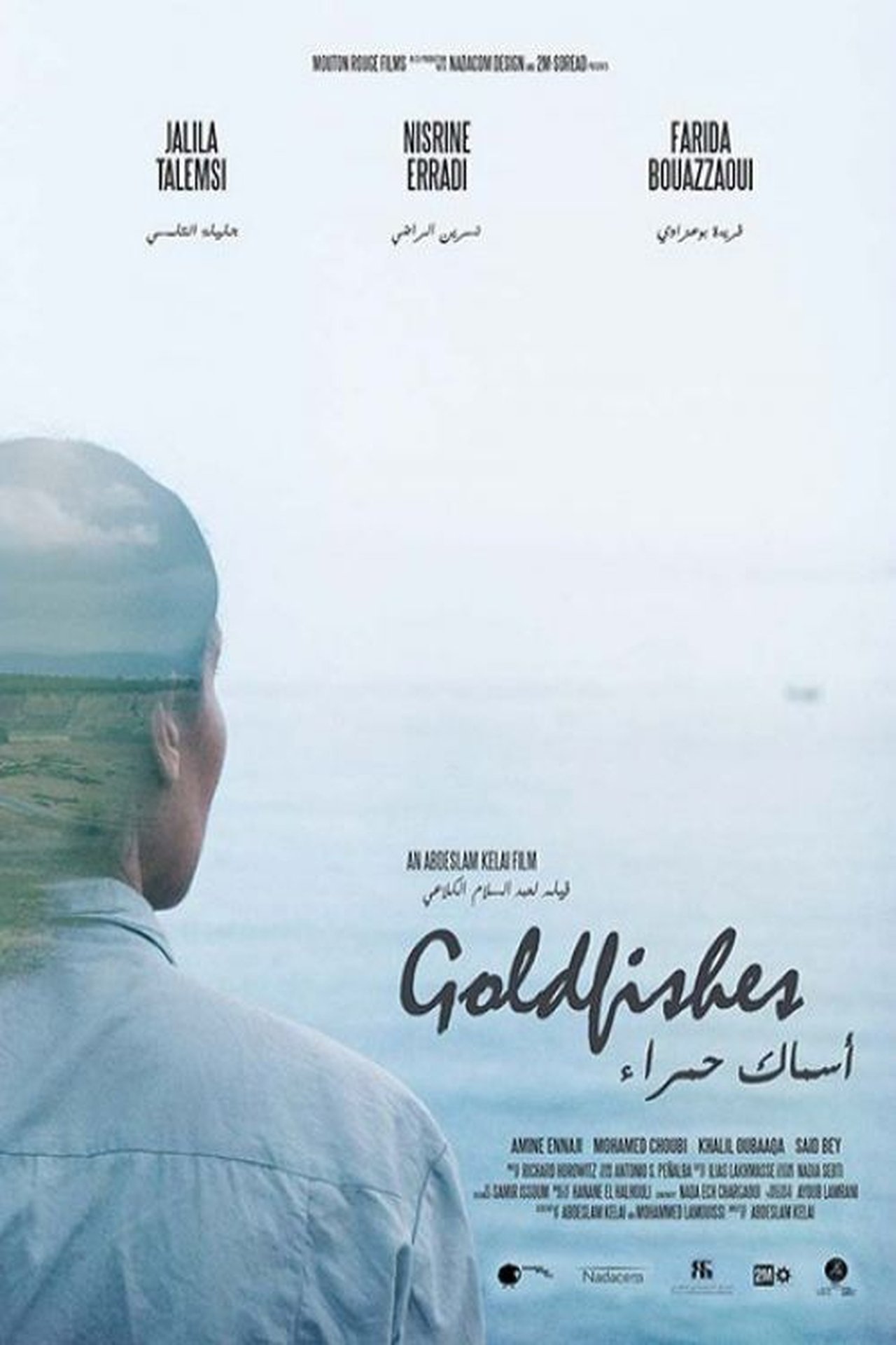 أسماك حمراء أسماك حمراء