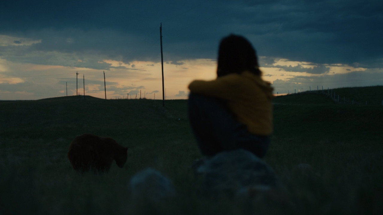 American Honey background 25