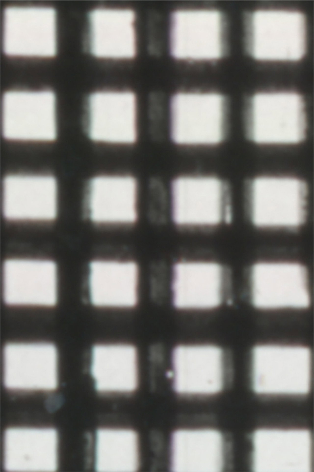 Variations on a Seven Second Loop-Painting