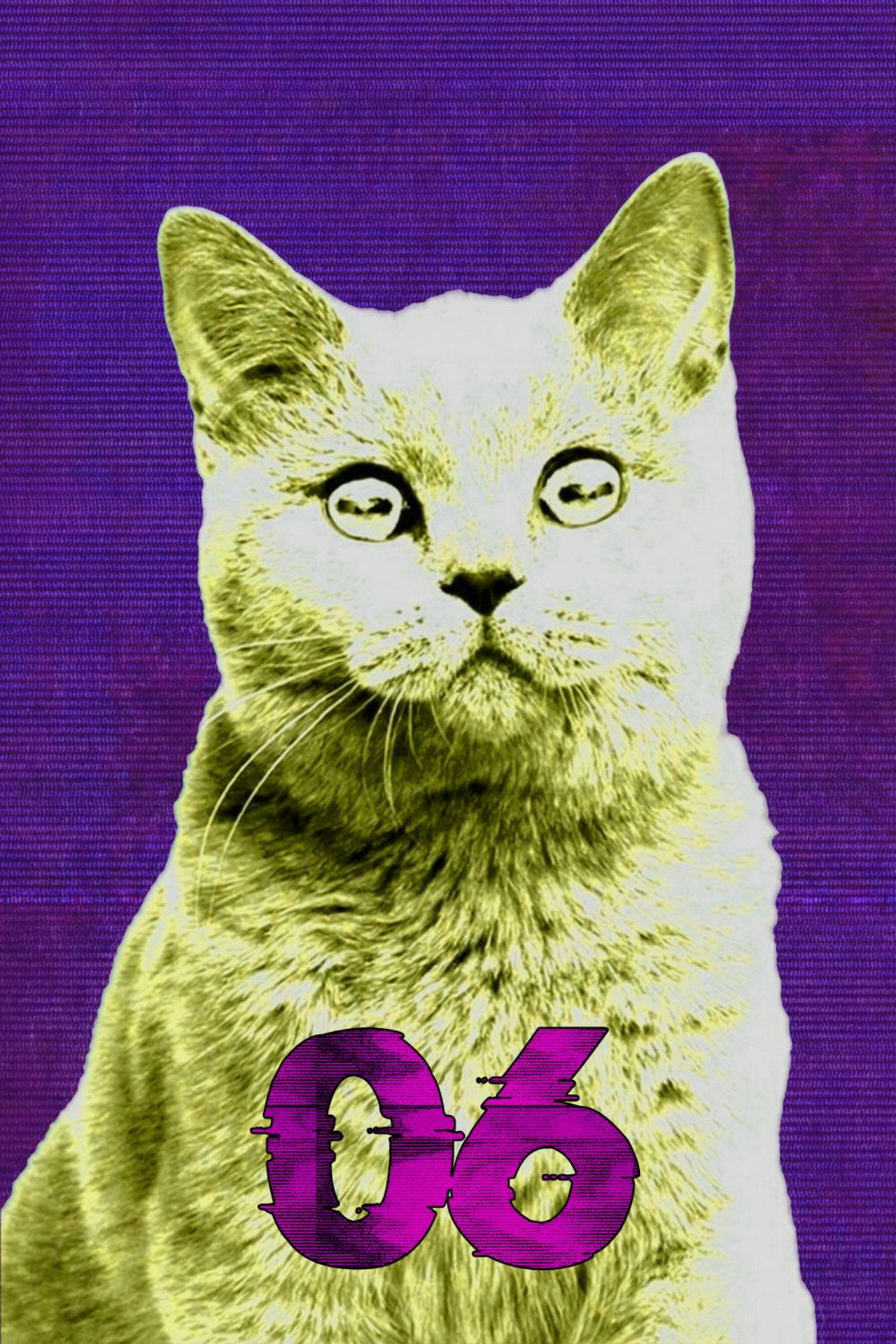 Säsong 6