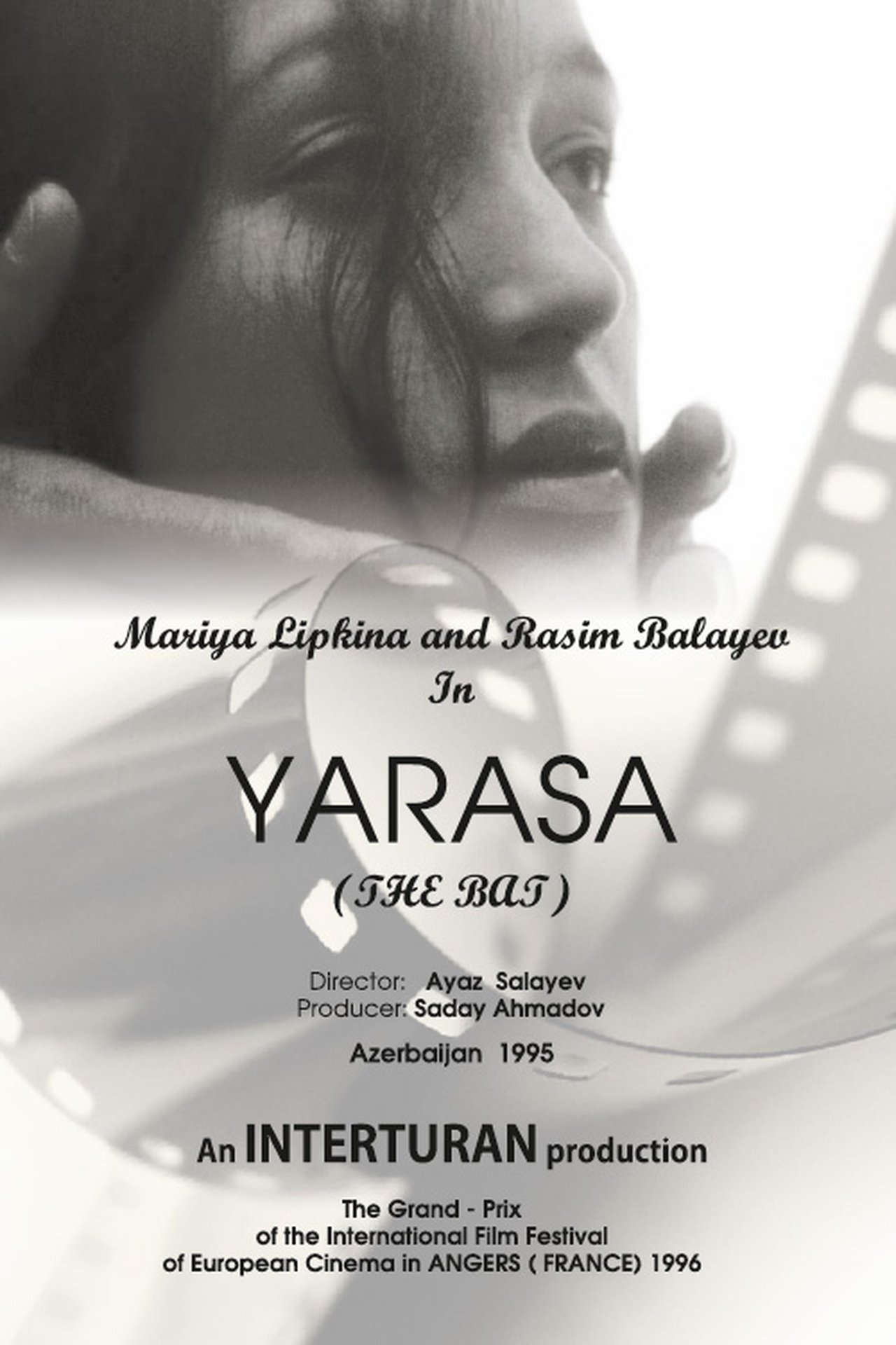 Yarasa Yarasa