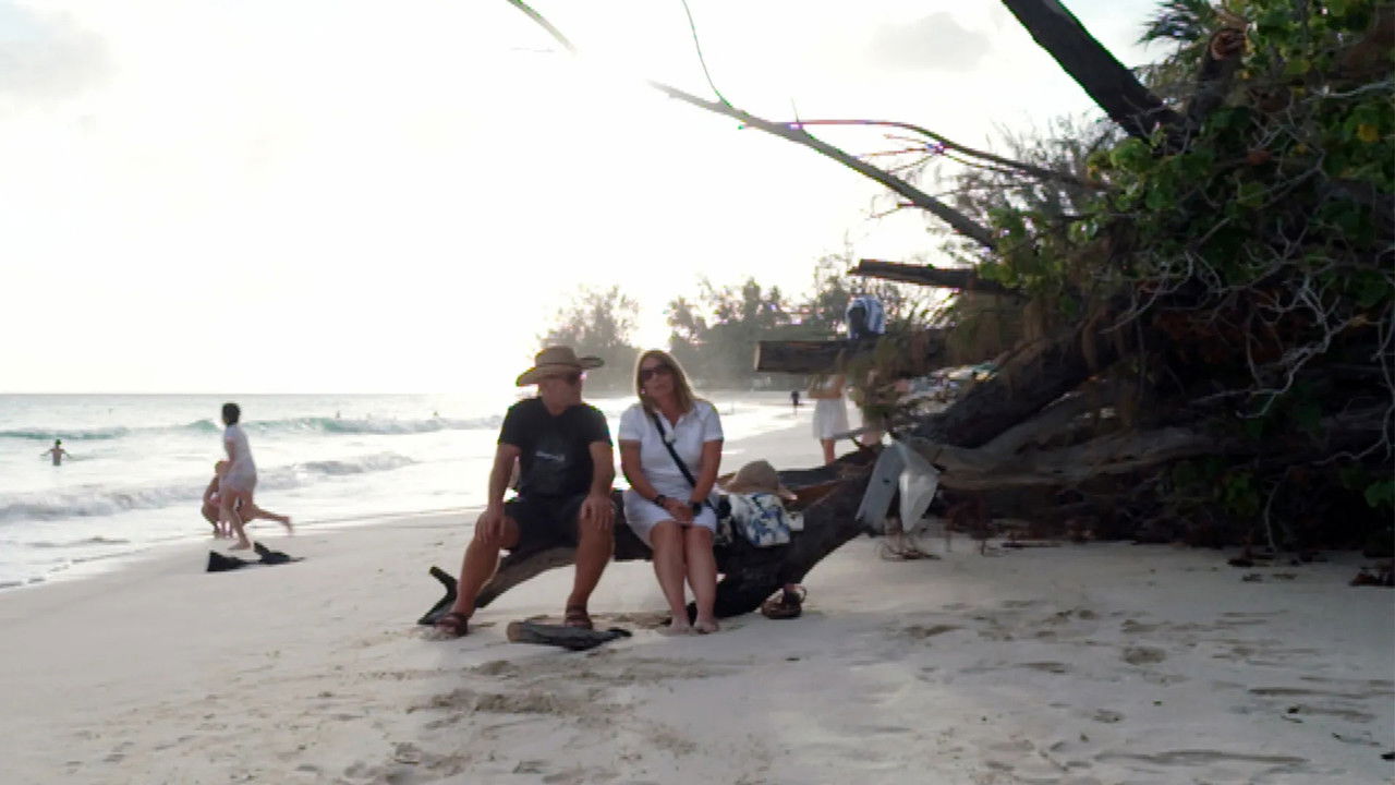 Willkommen bei den Reimanns - Season 4 Episode 7 : Episode 7