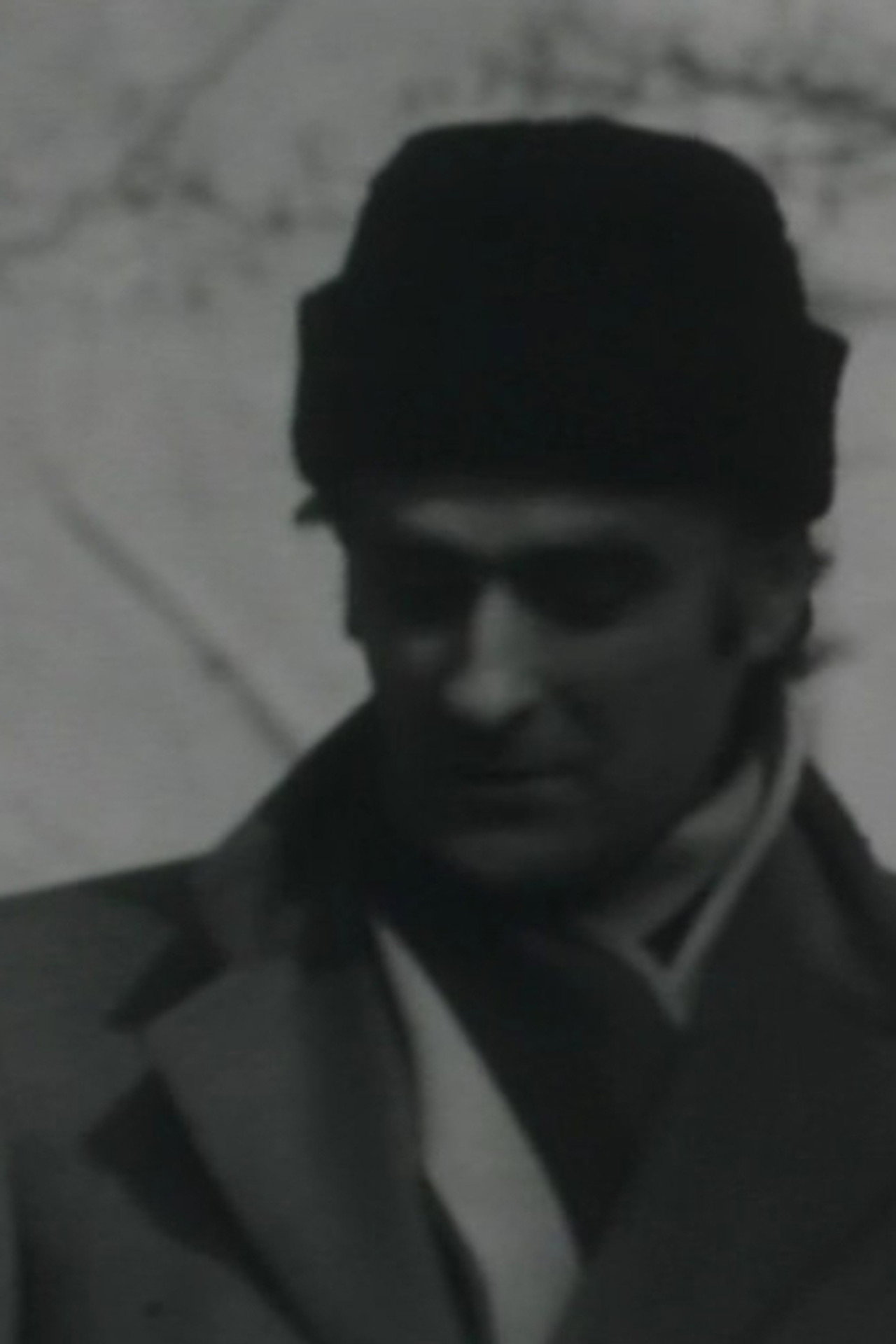 Io e... Zanzotto e... il quartiere del Piave filmaffisch