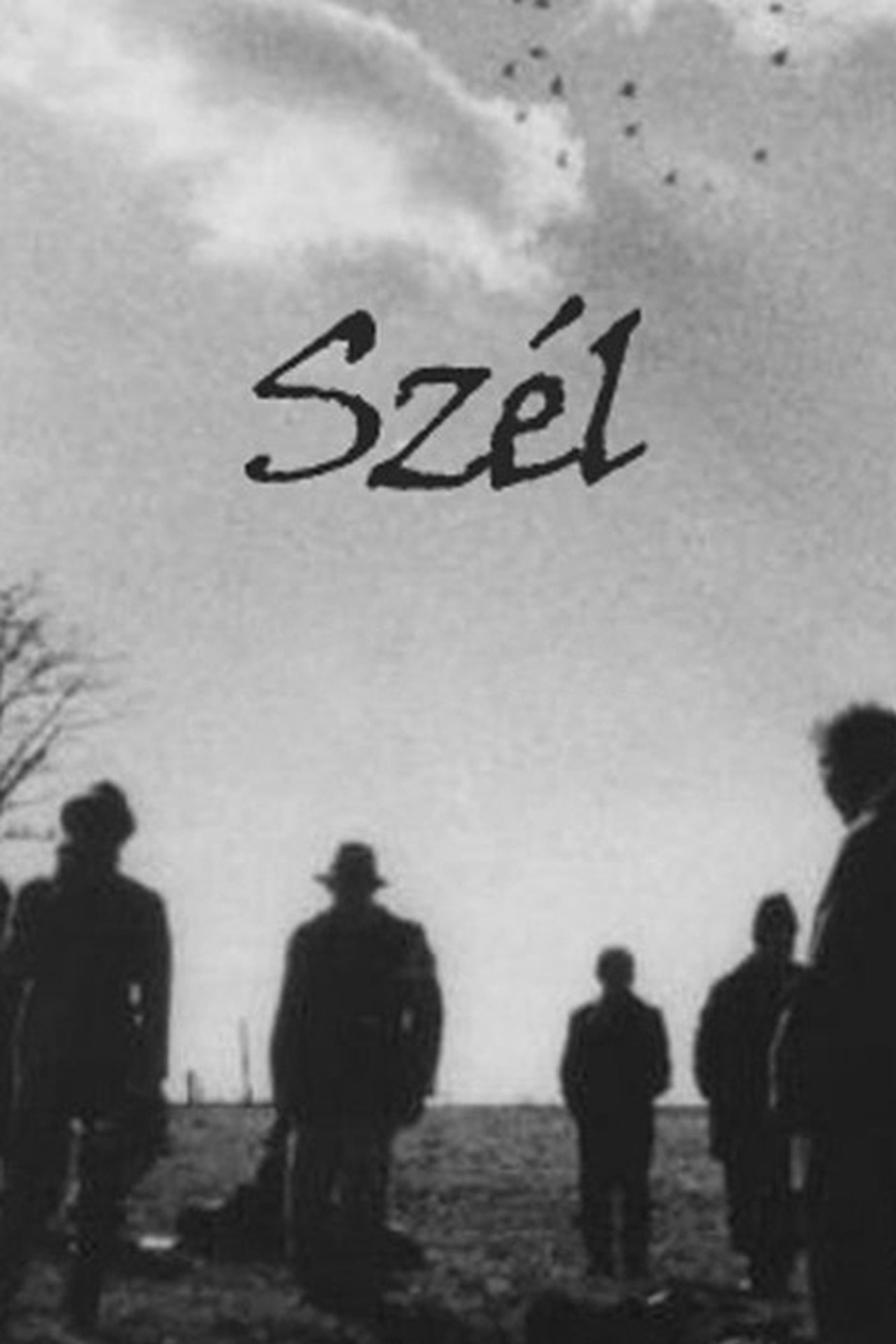 Szél filmaffisch